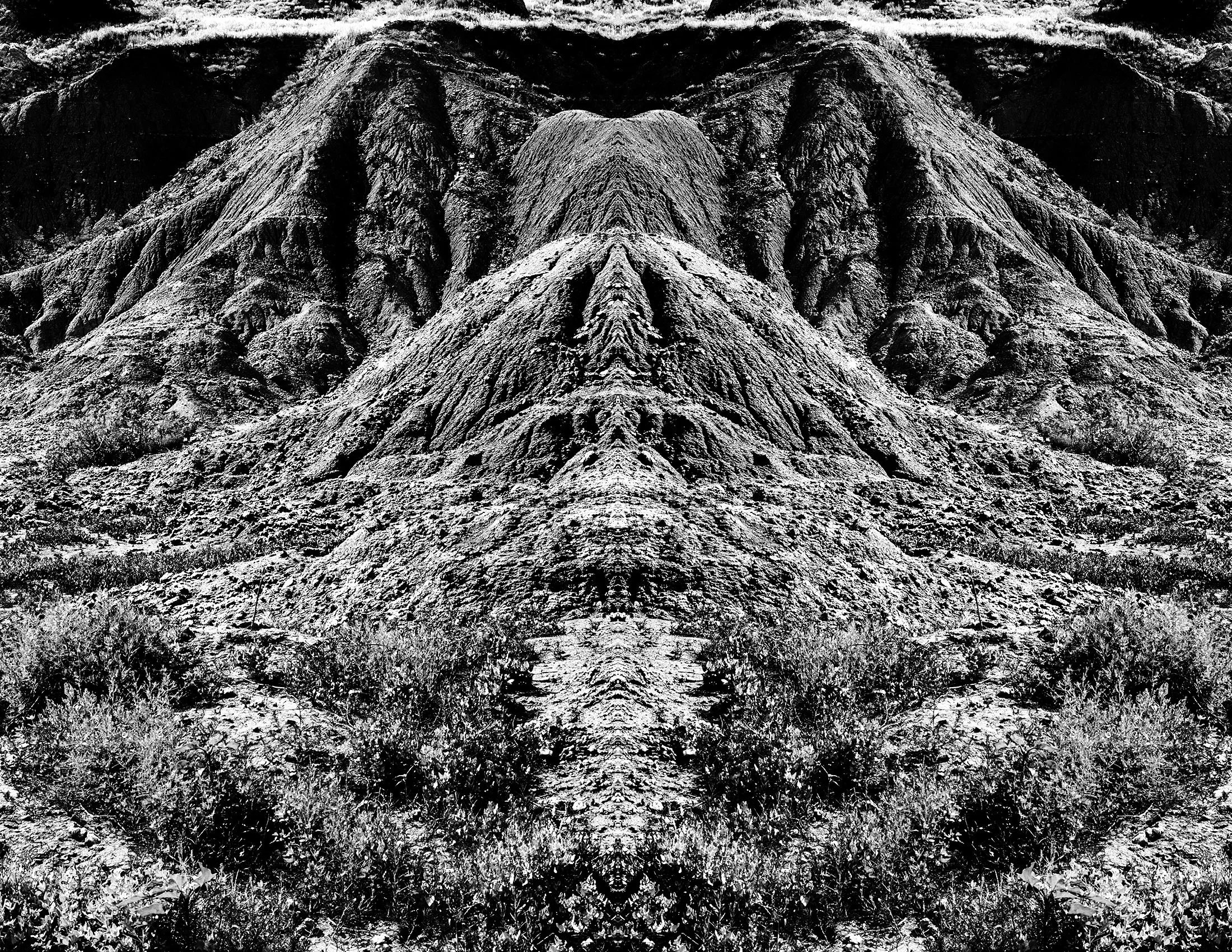 Within  |  00 X 00 IN  |  2013