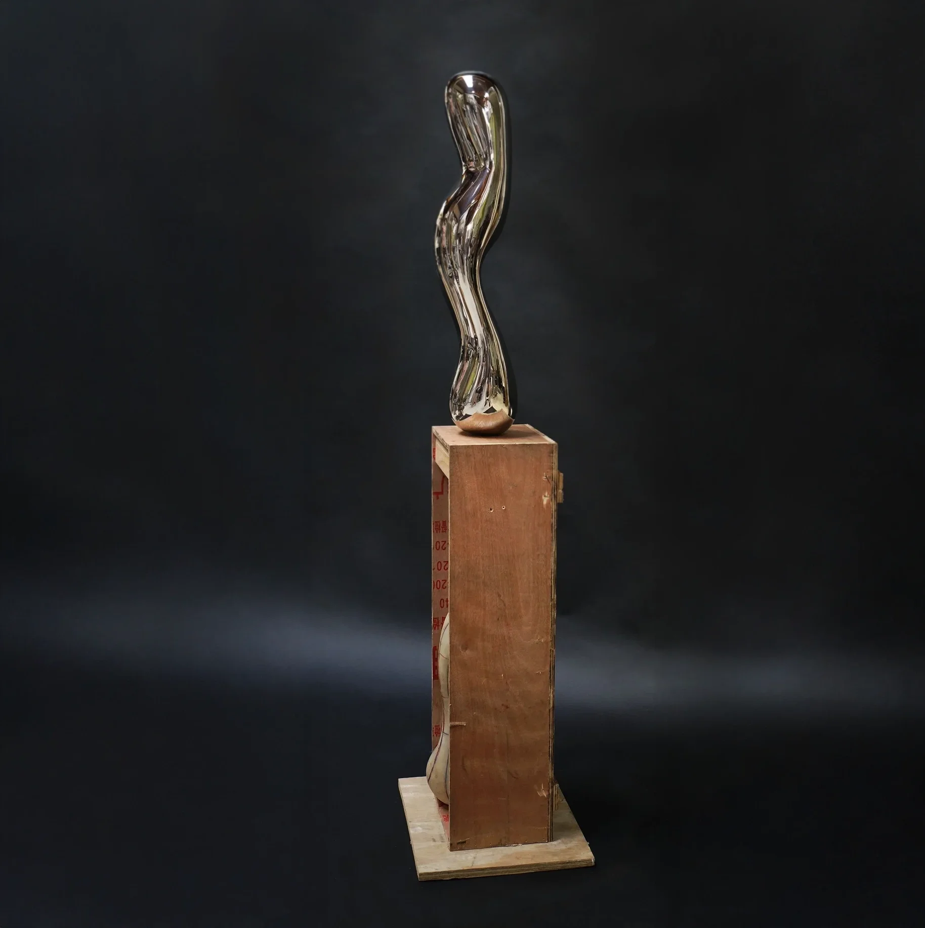 Changeling  | Stainless Steel  | 55 x 12 x 12 IN | 2016