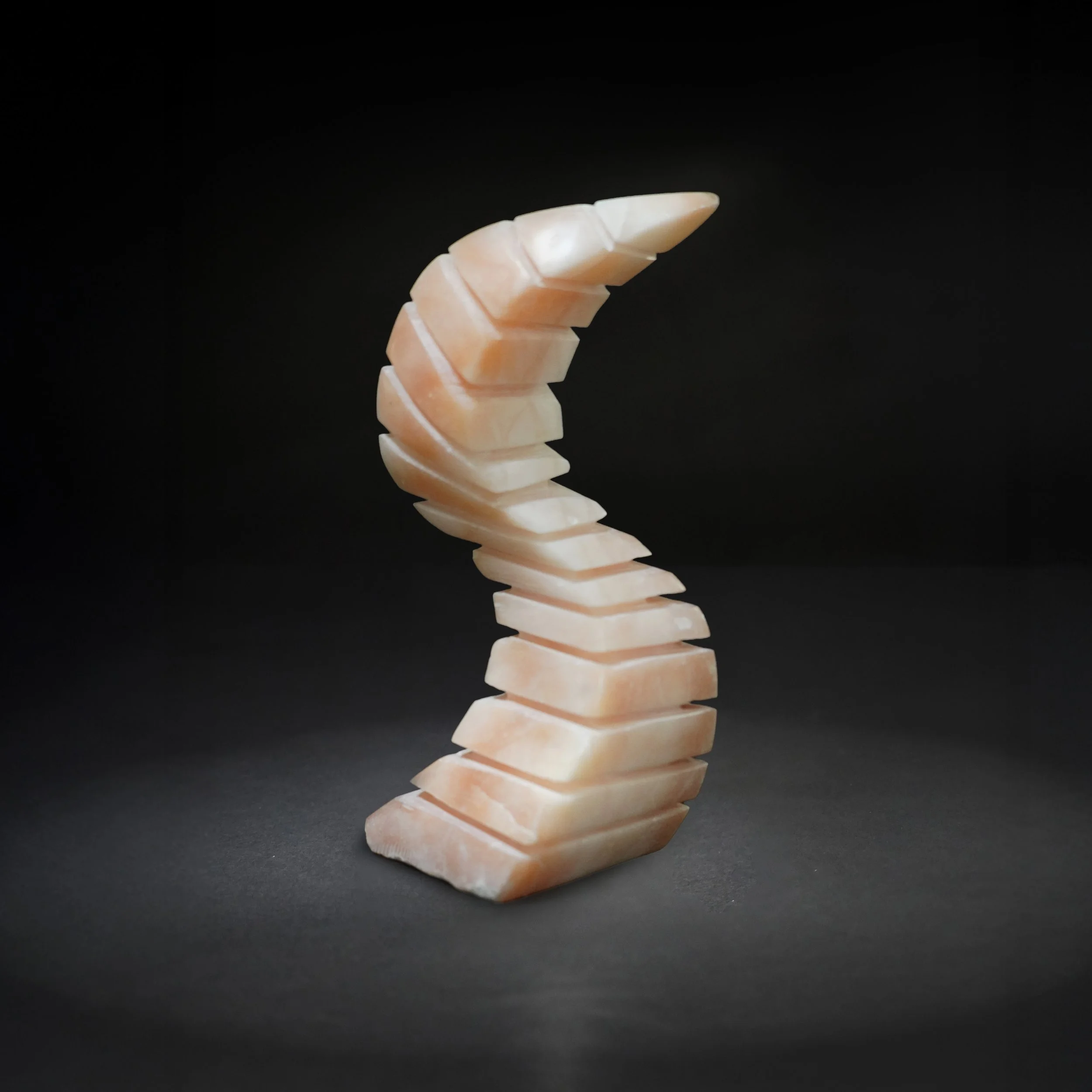 Form in Space 