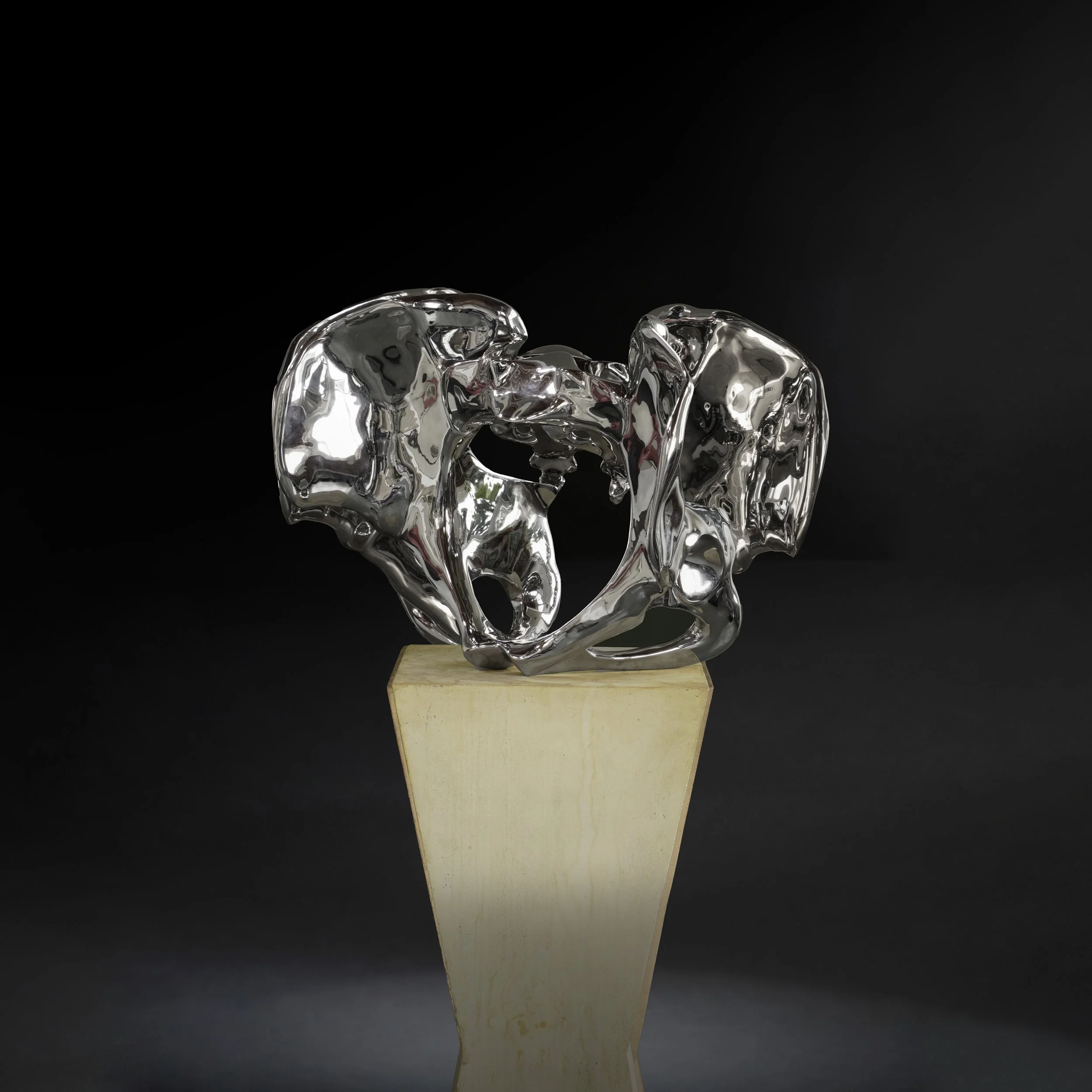 Pelvis  |  Material  | 00 X 00 X 00  IN | 0000