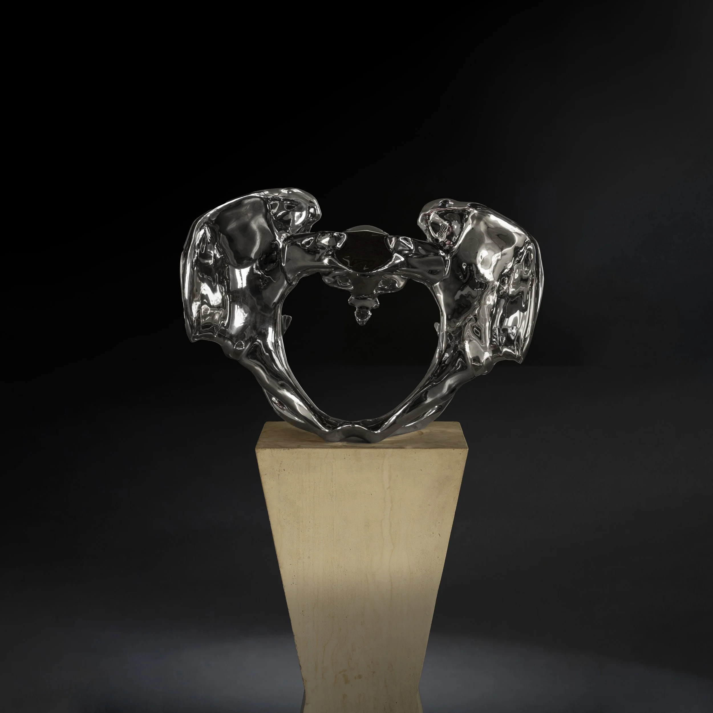 Pelvis  |  Material  | 00 X 00 X 00  IN | 0000