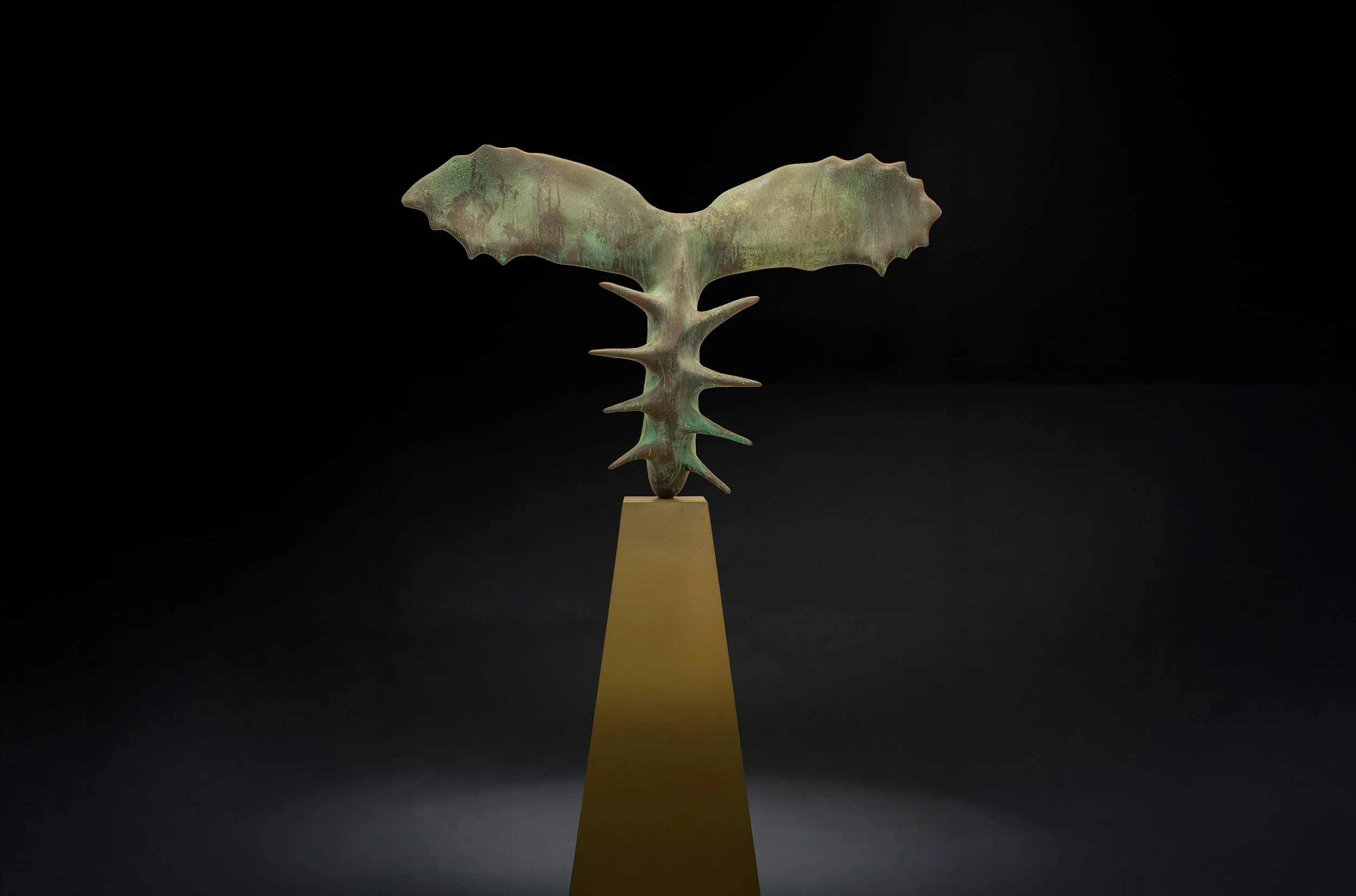 Trachymene Ceratpcarpa | Urethane Foam | 16 x 15 x 8 | 2018
