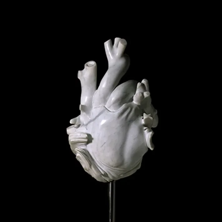 Heart (Front) |  Marble  |  14 x 9 x 7.25 IN | 2003 