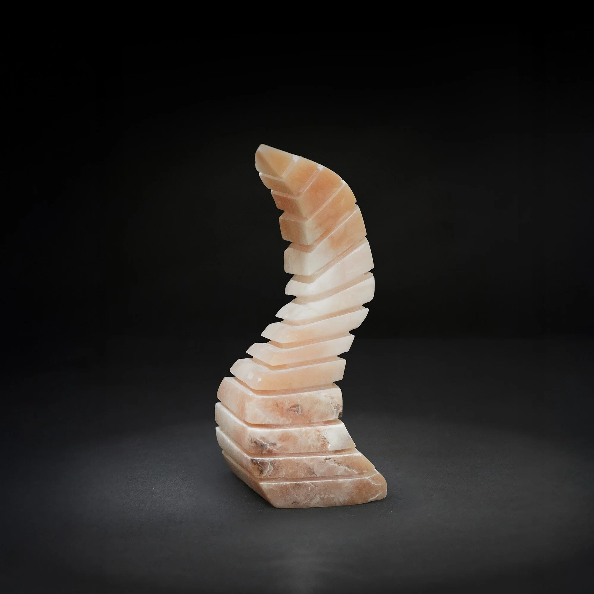 Form in Space 