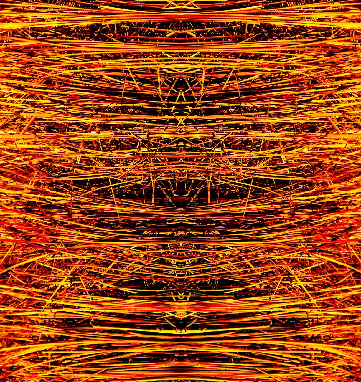 Awakening  |  00 X 00 IN  |  2013