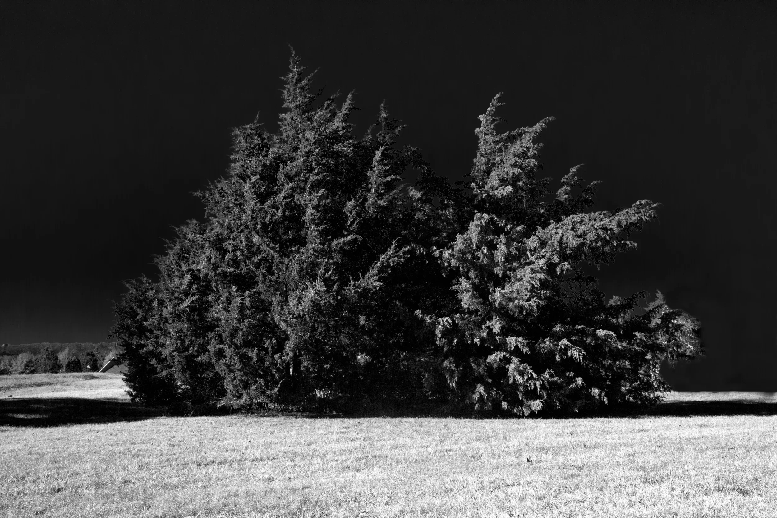 After Dark |  17x22 IN |  2013