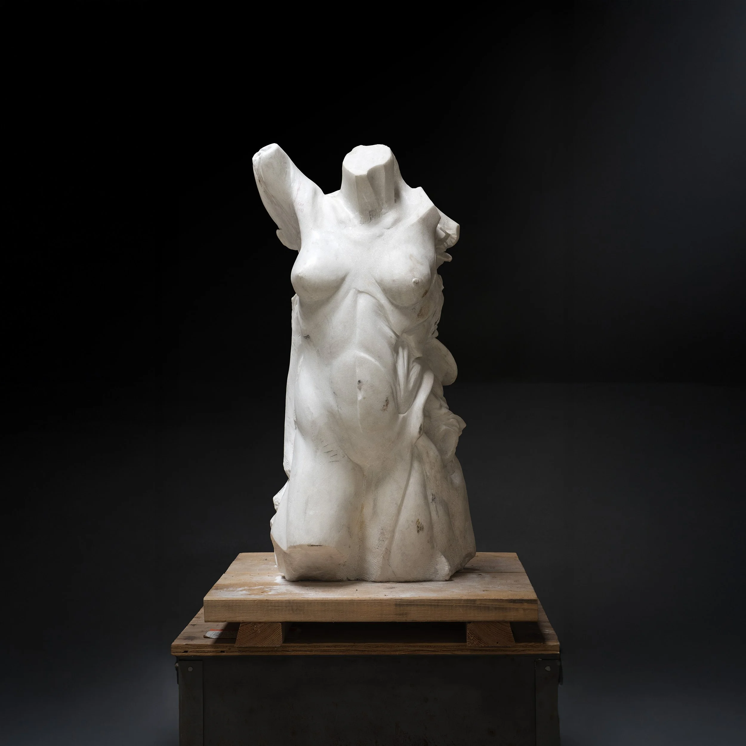 Torso Study | Marble |  27 X 12.5 X 12.5 IN  | 1992 
