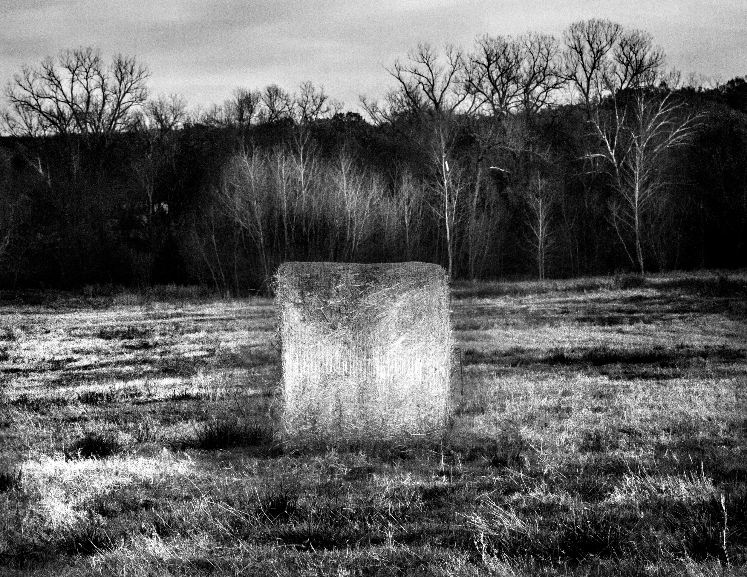 Standing Alone |  17x22 IN |  2013