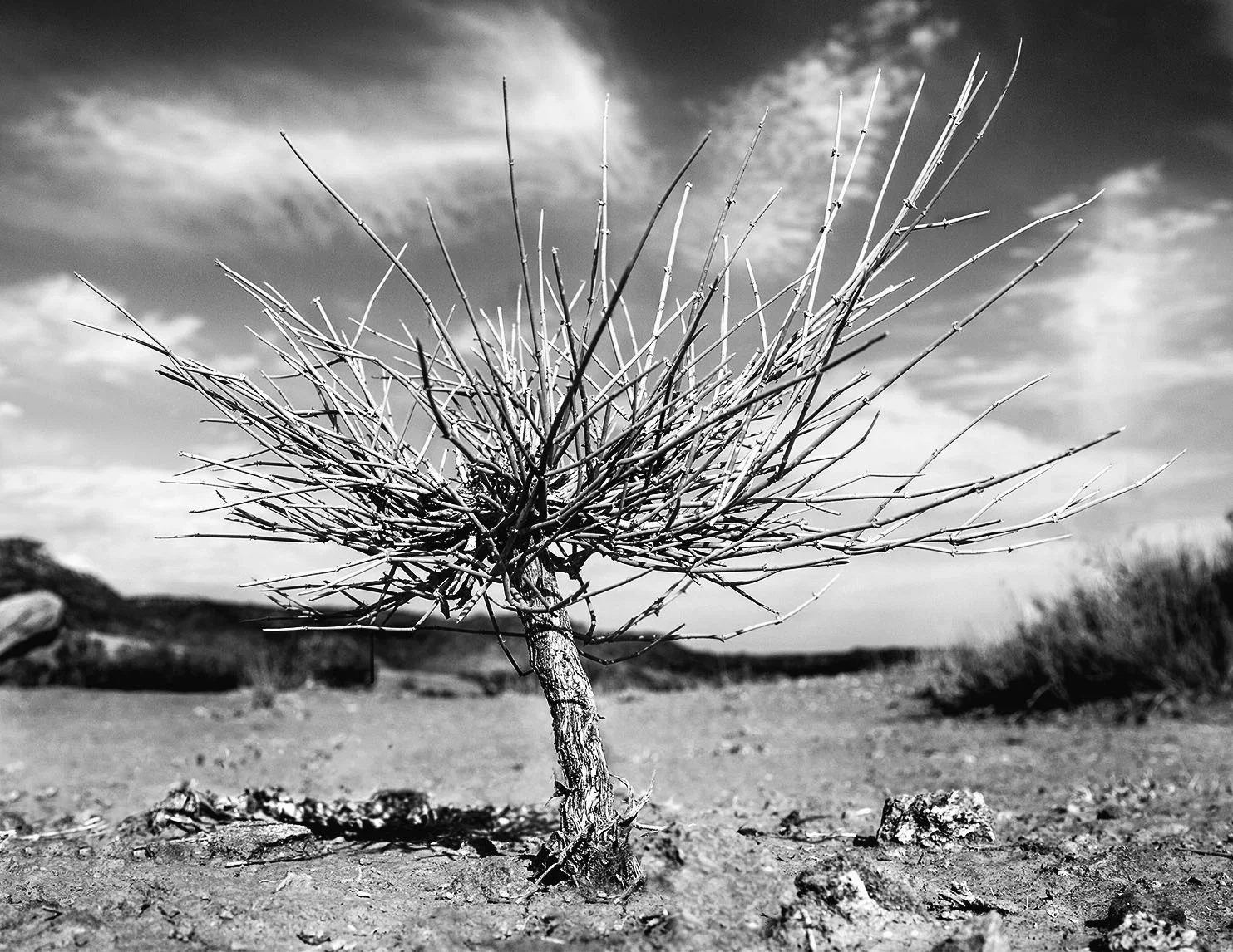 Against the Odds |  17x22 IN |  2013