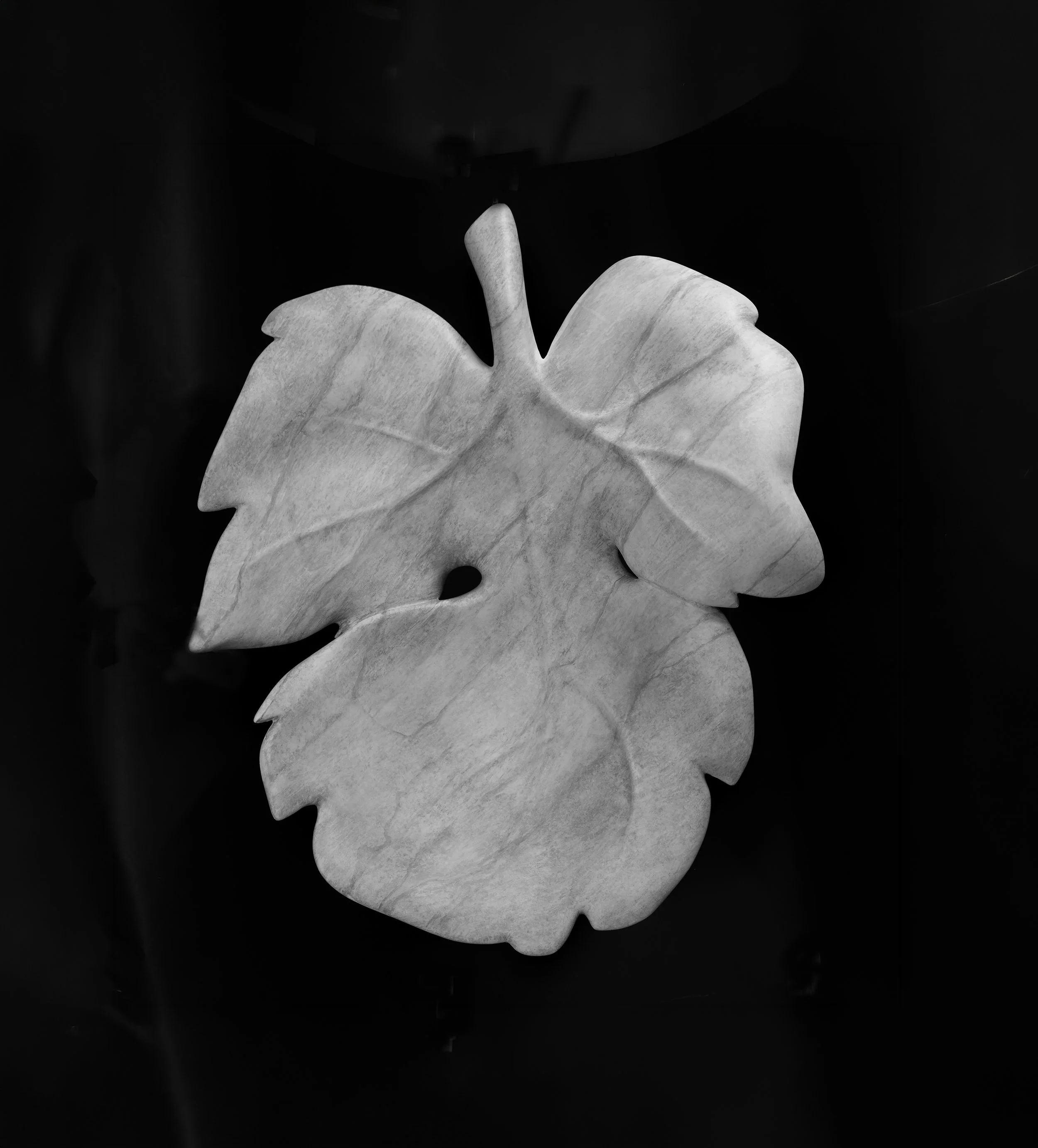 Leaf Front.jpg