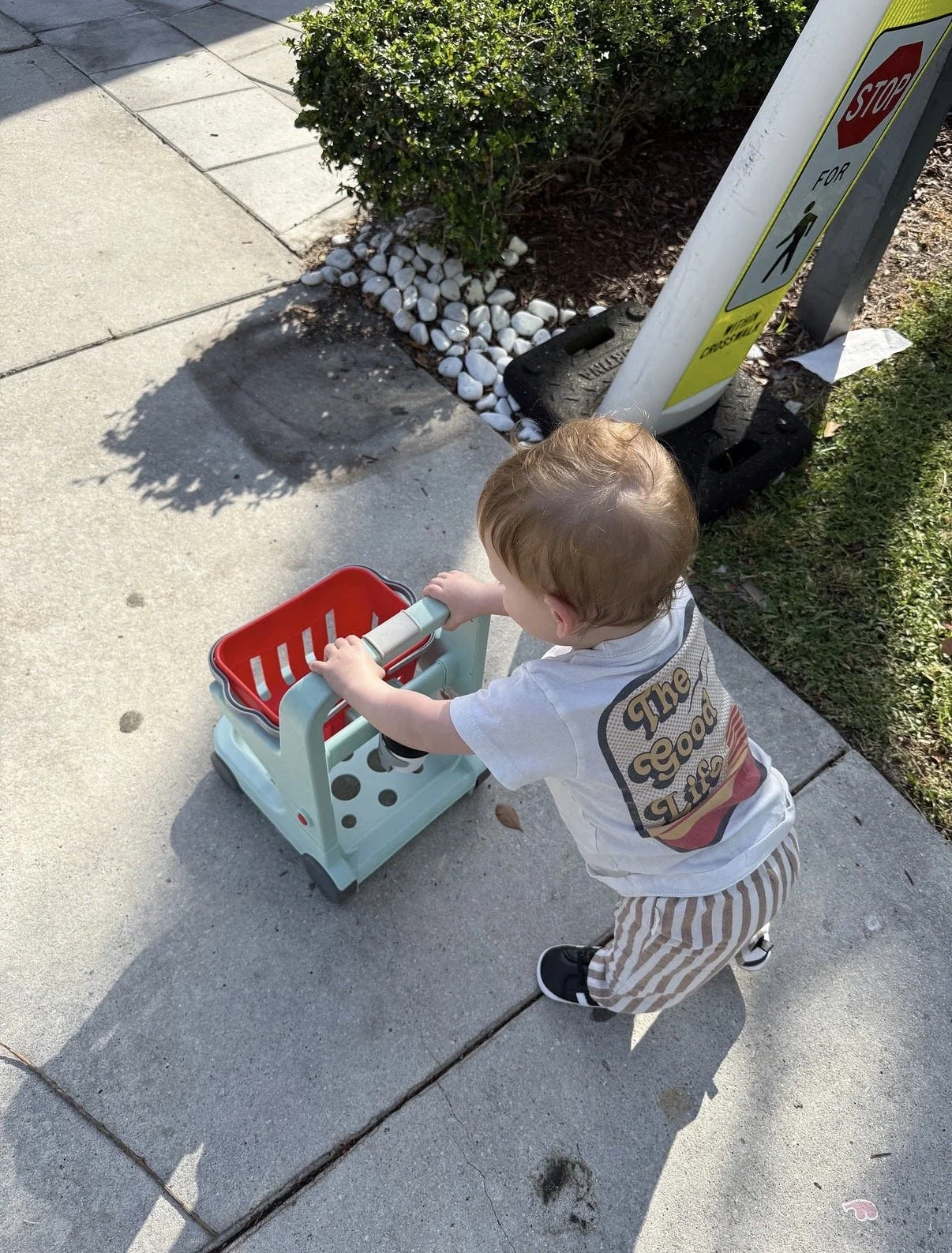 A young boy pushing a toy shopping cart on a sidewalk, with a stop sign and green bushes nearby.