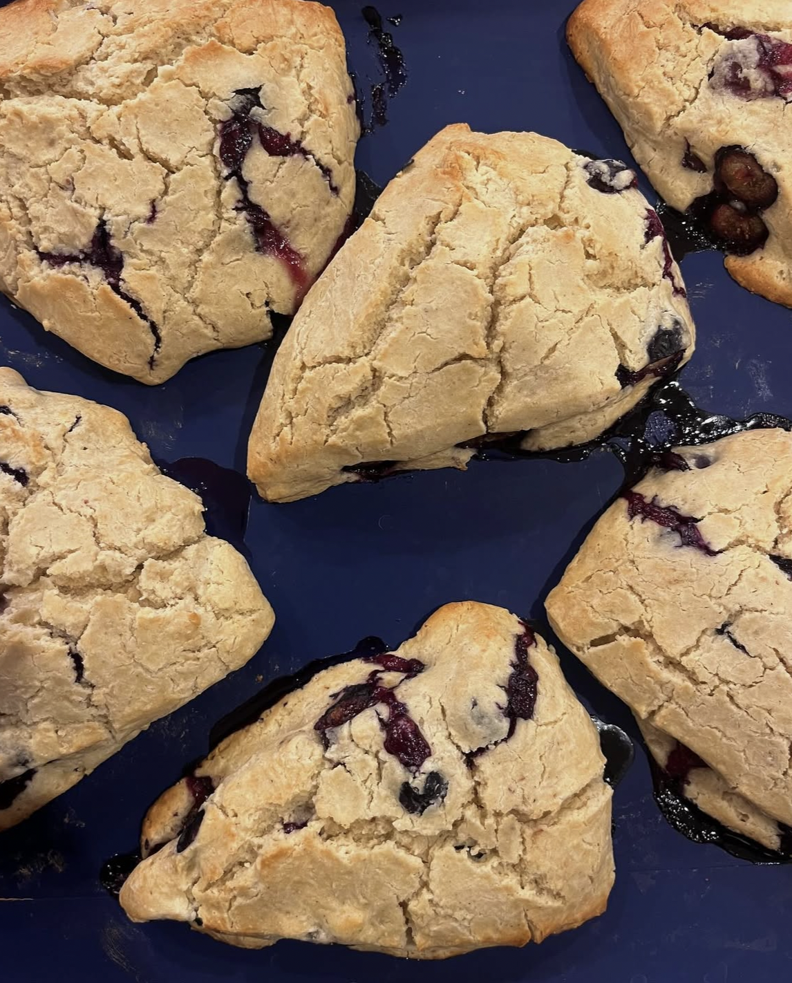 Blueberry scones (8 count) *available upon request