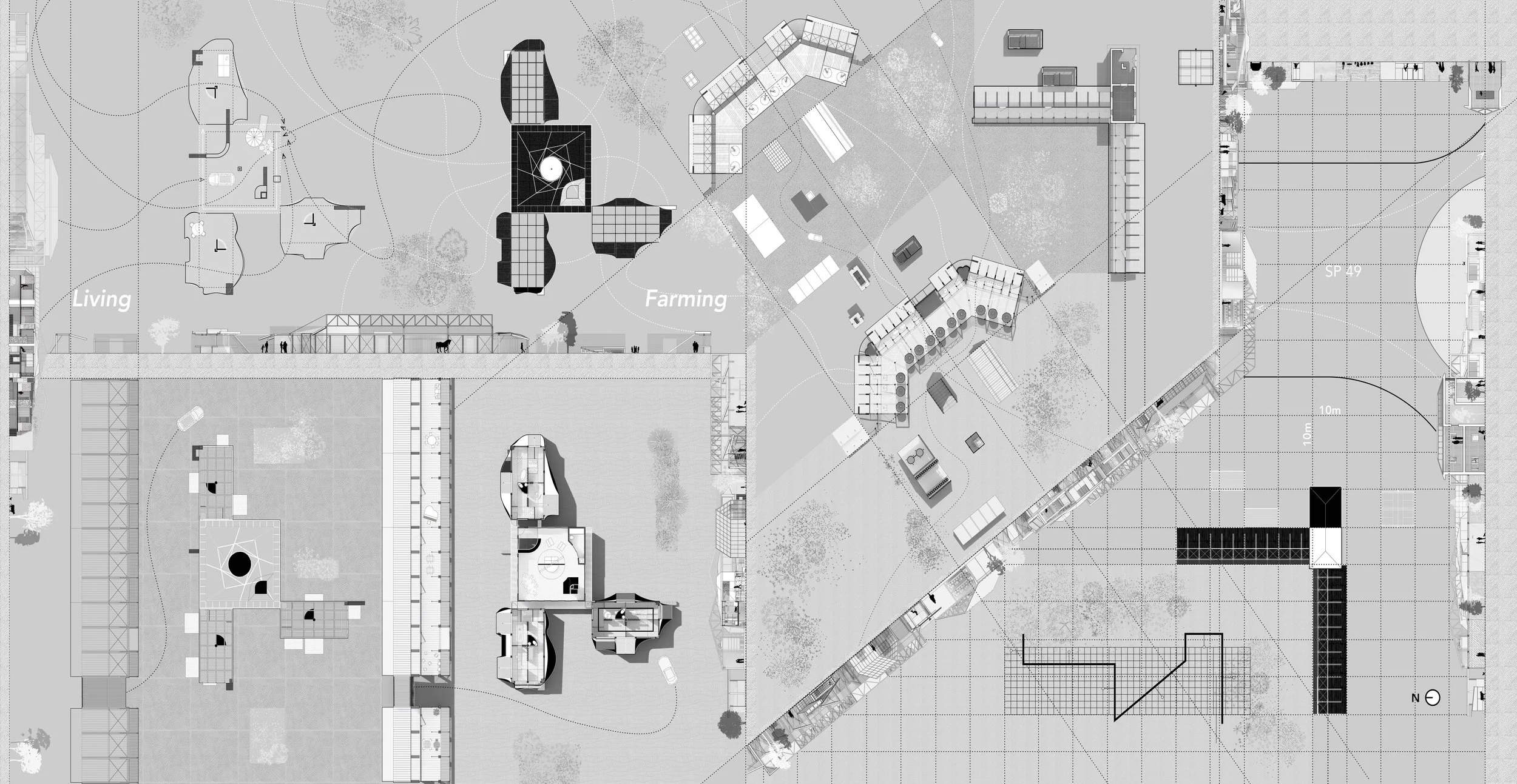 Plan+Section Arborea-1.jpg