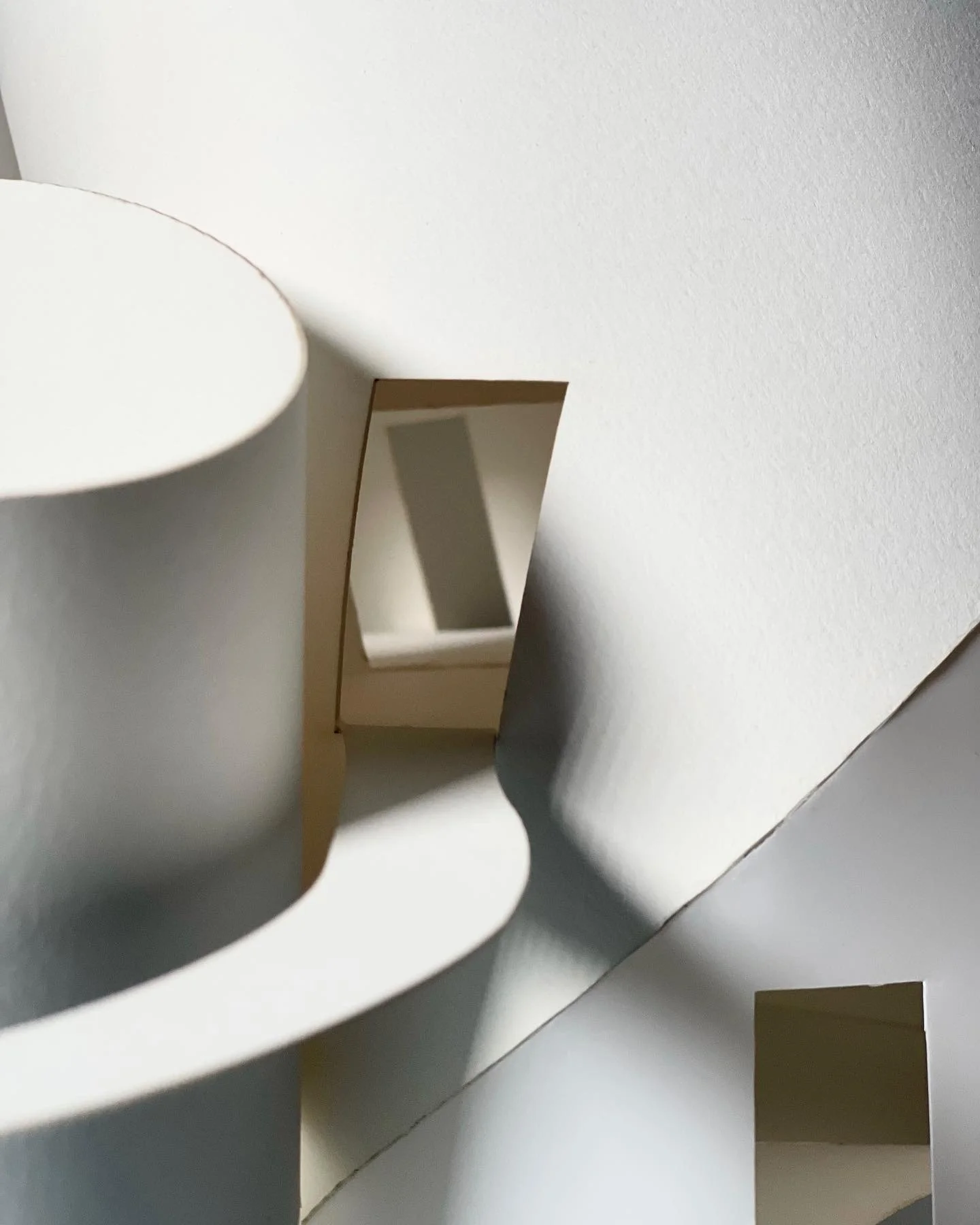 Weixin Image_20260123210444.jpg