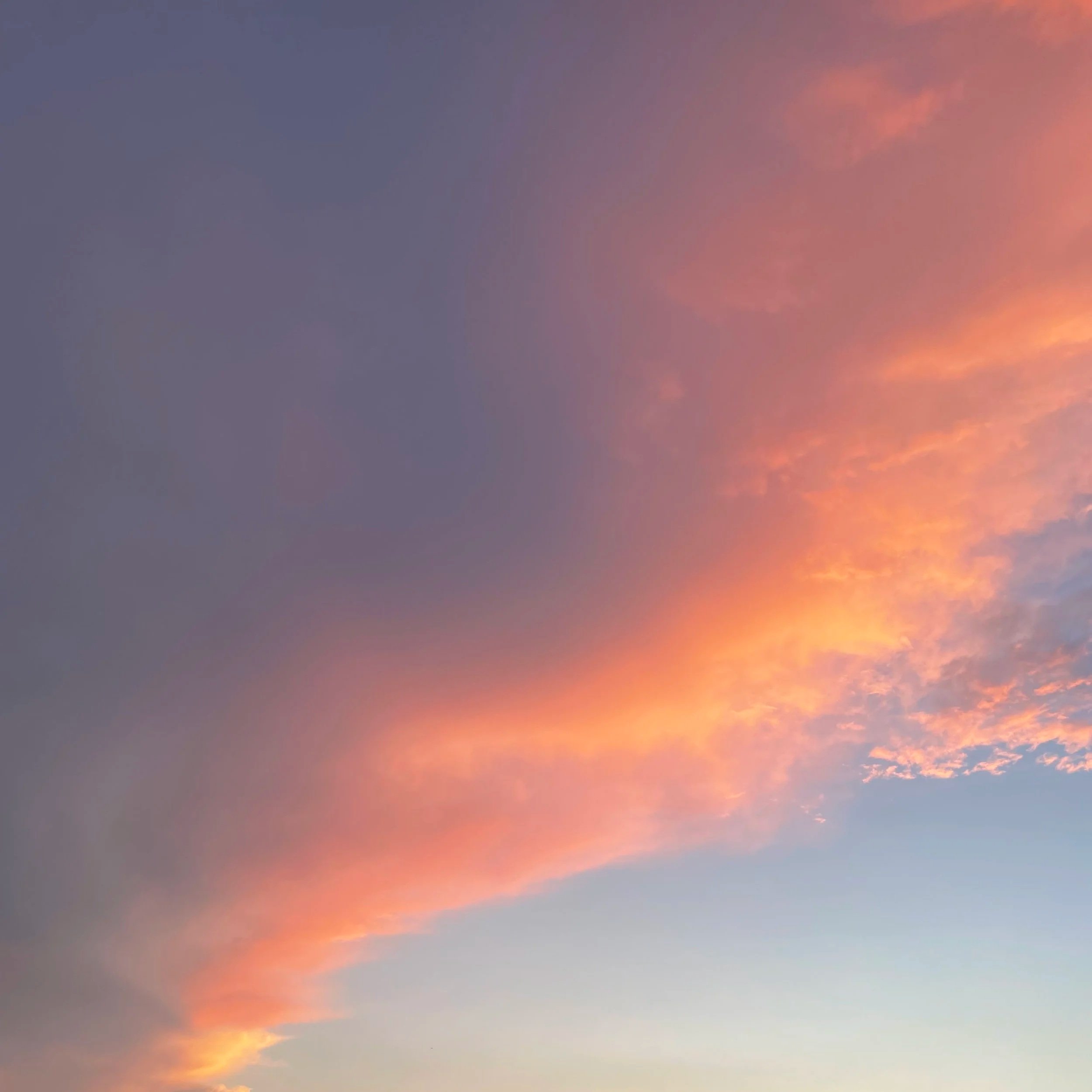 the brand designer needs a rebrand