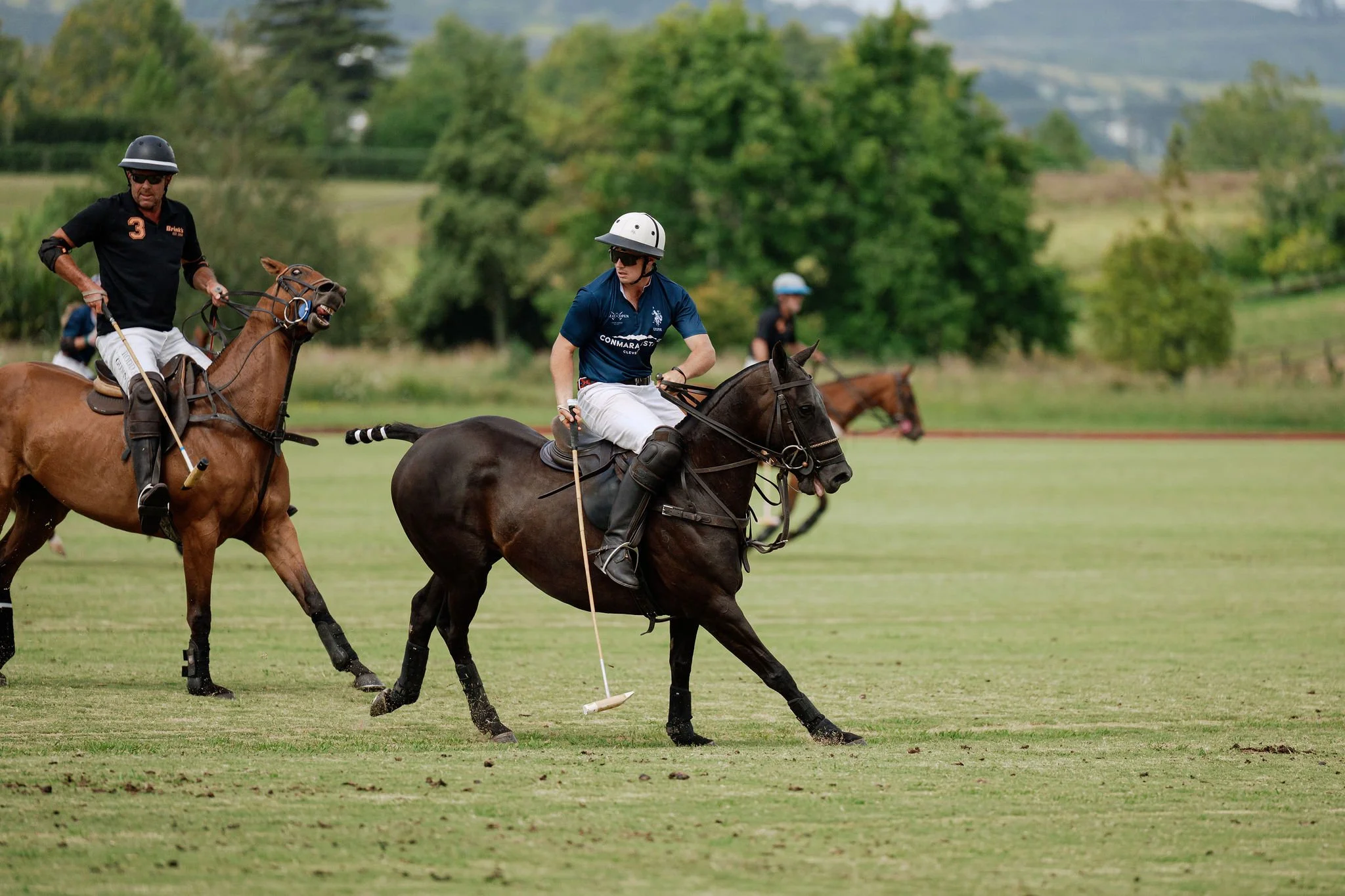 hololio-polo-126.jpg
