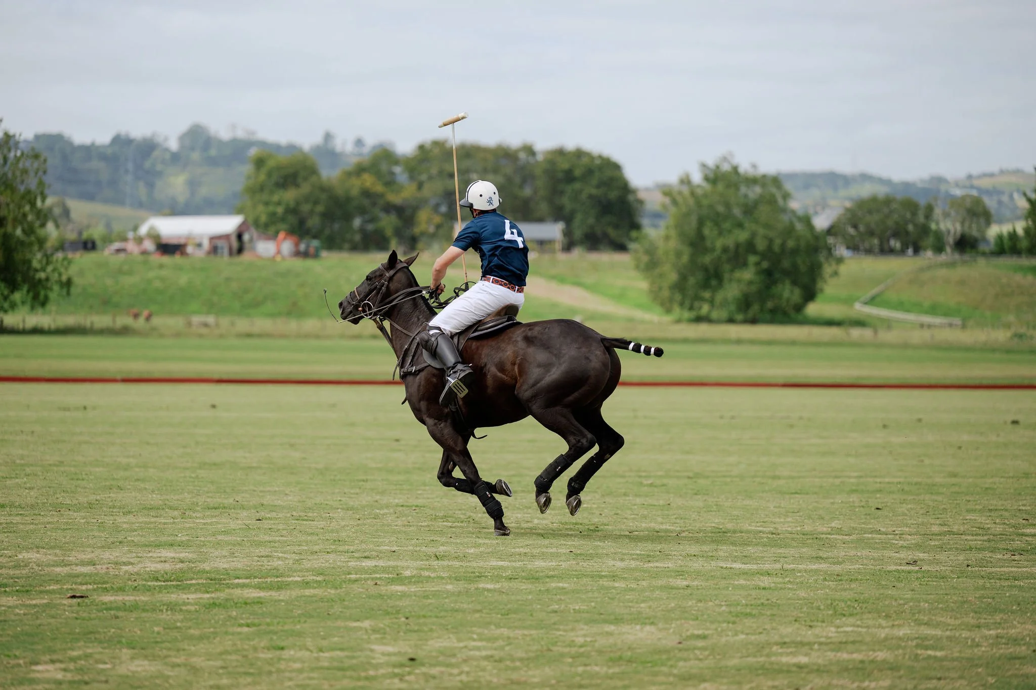 hololio-polo-127.jpg