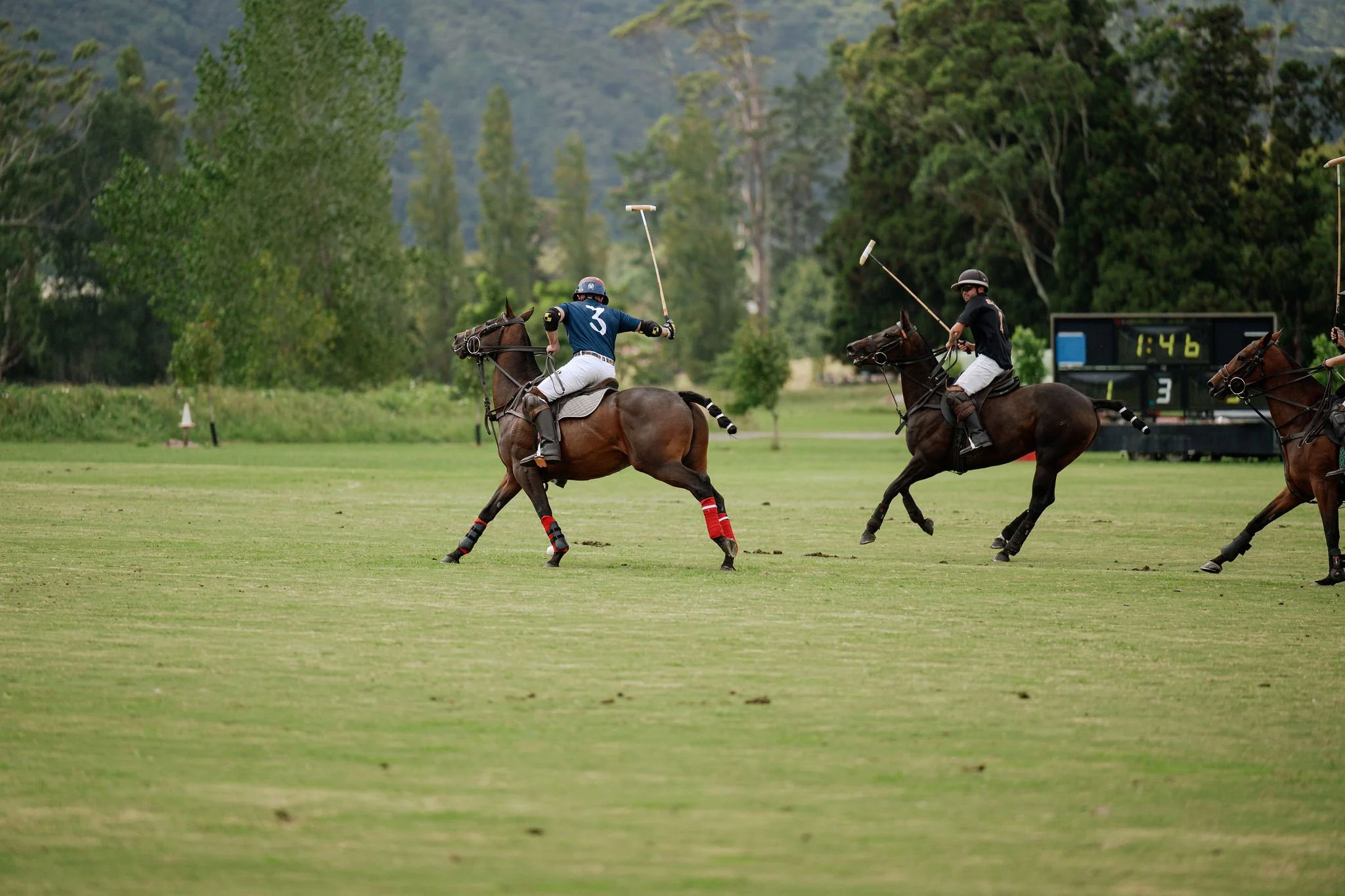 hololio-polo-140.jpg
