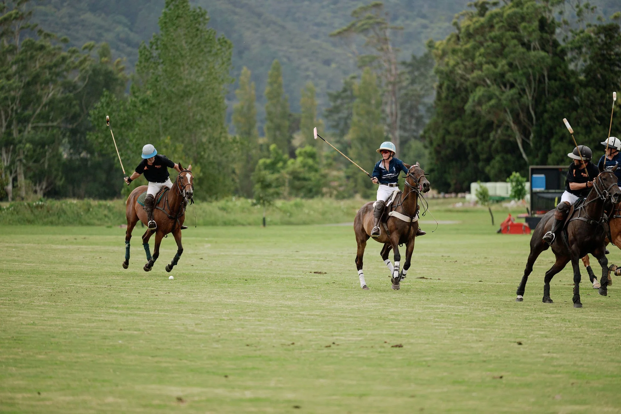 hololio-polo-141.jpg