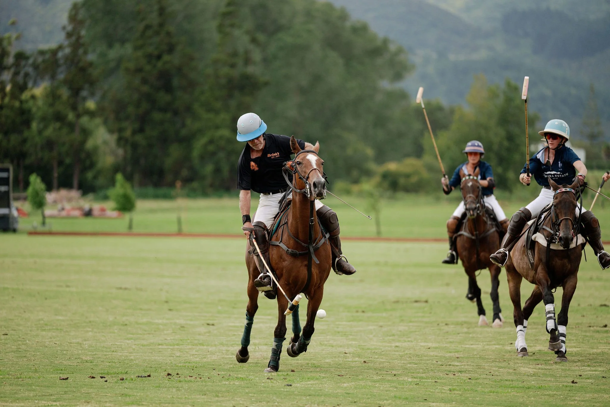 hololio-polo-142.jpg