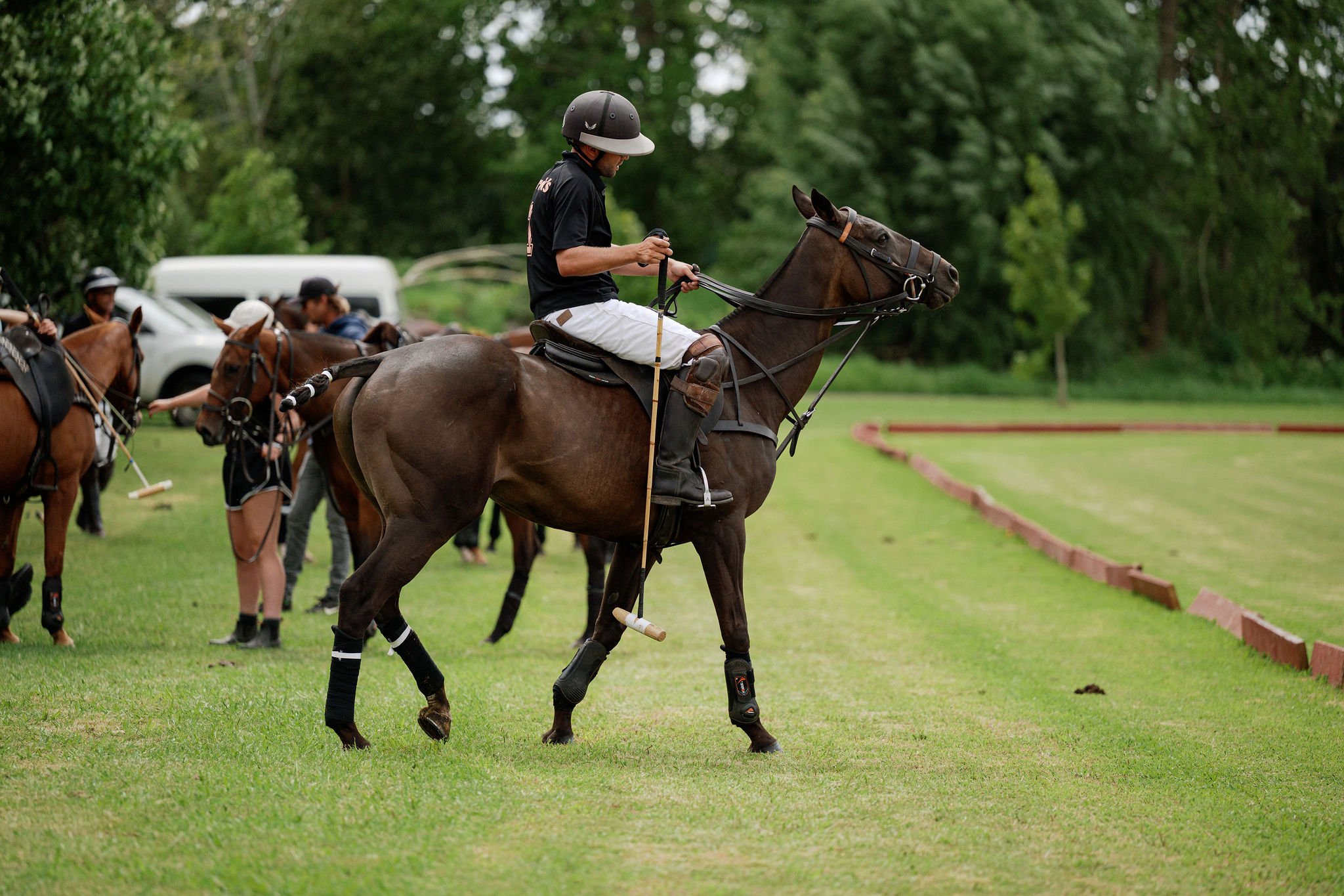 hololio-polo-146.jpg