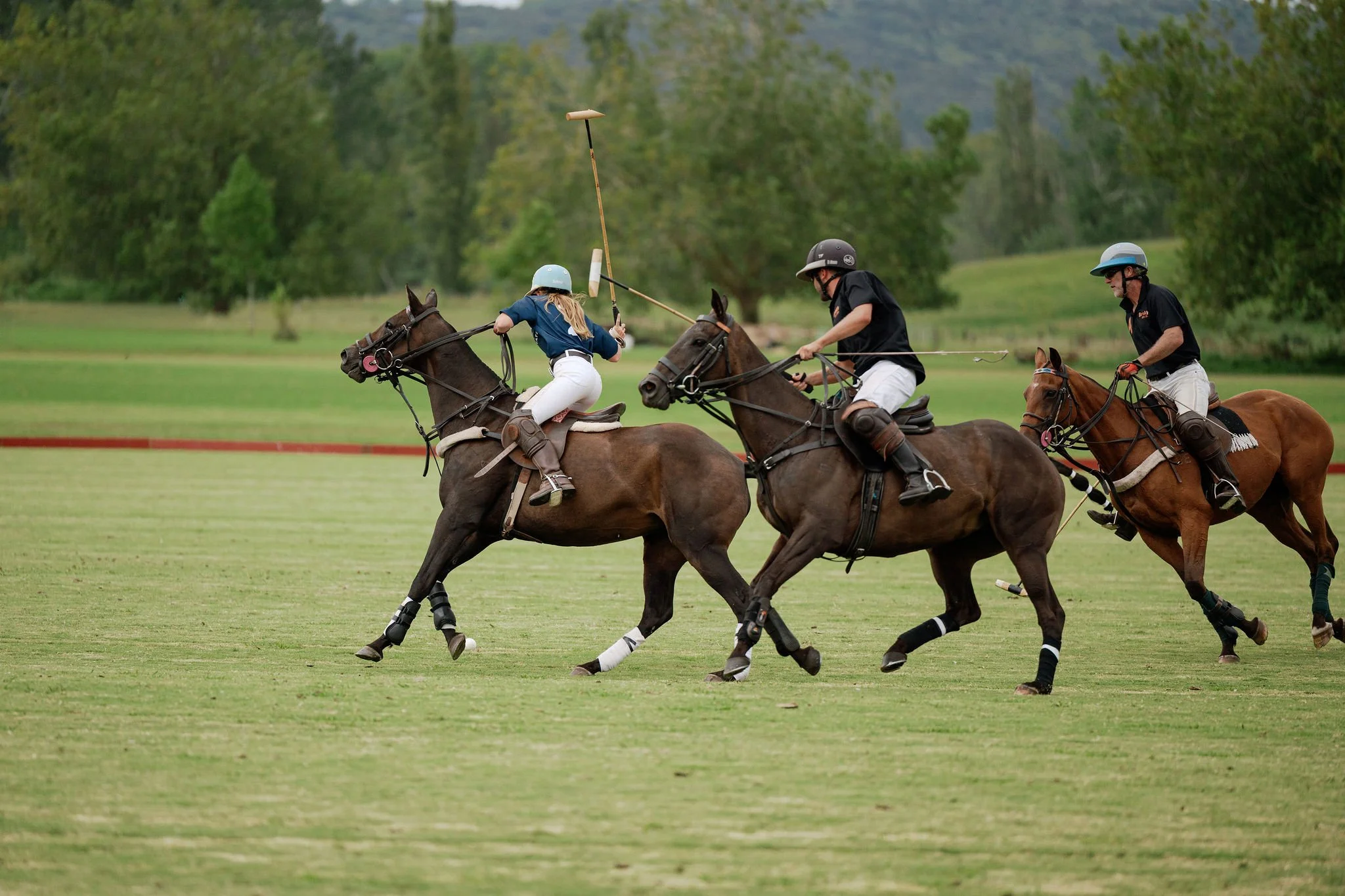 hololio-polo-150.jpg
