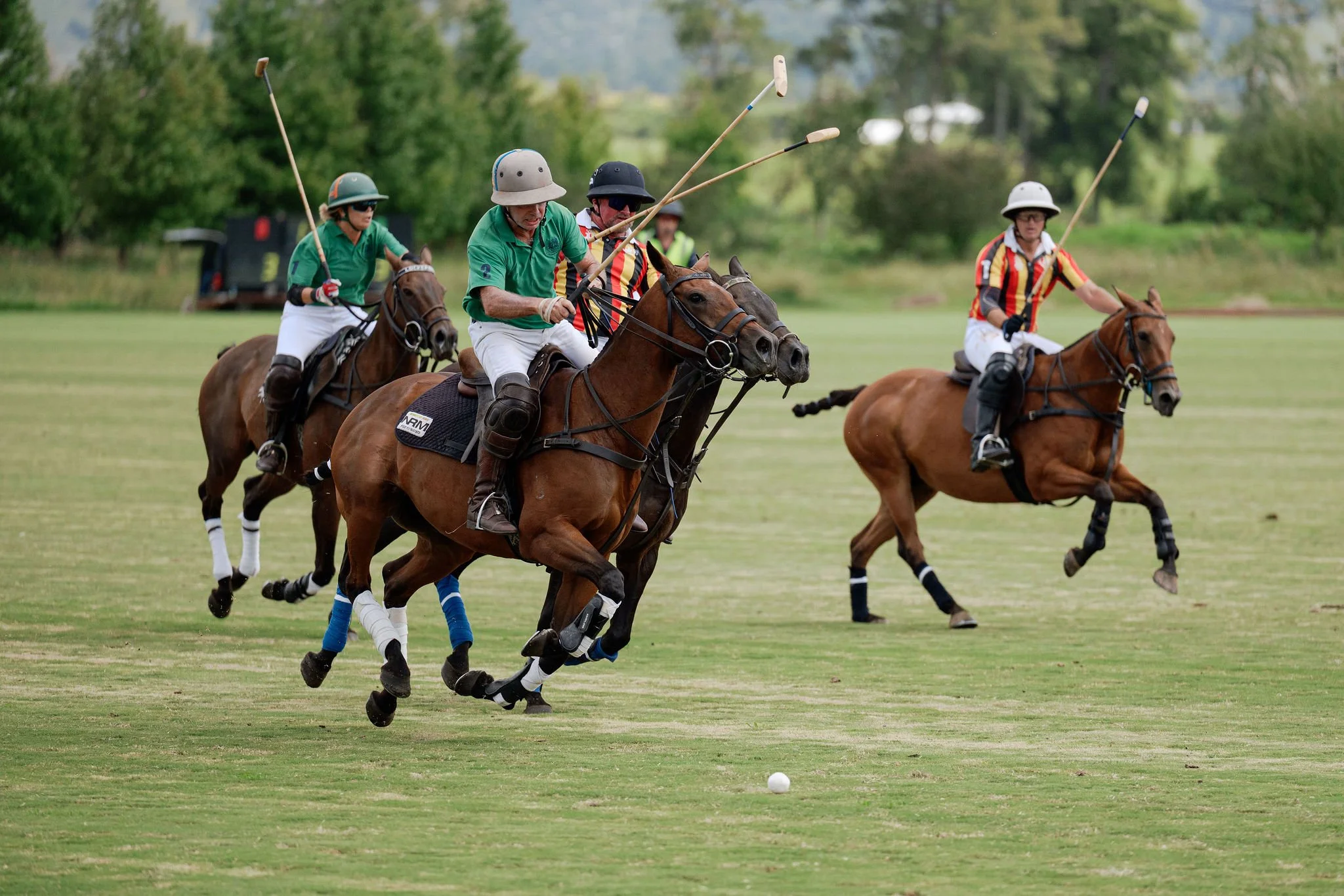 hololio-polo-171.jpg