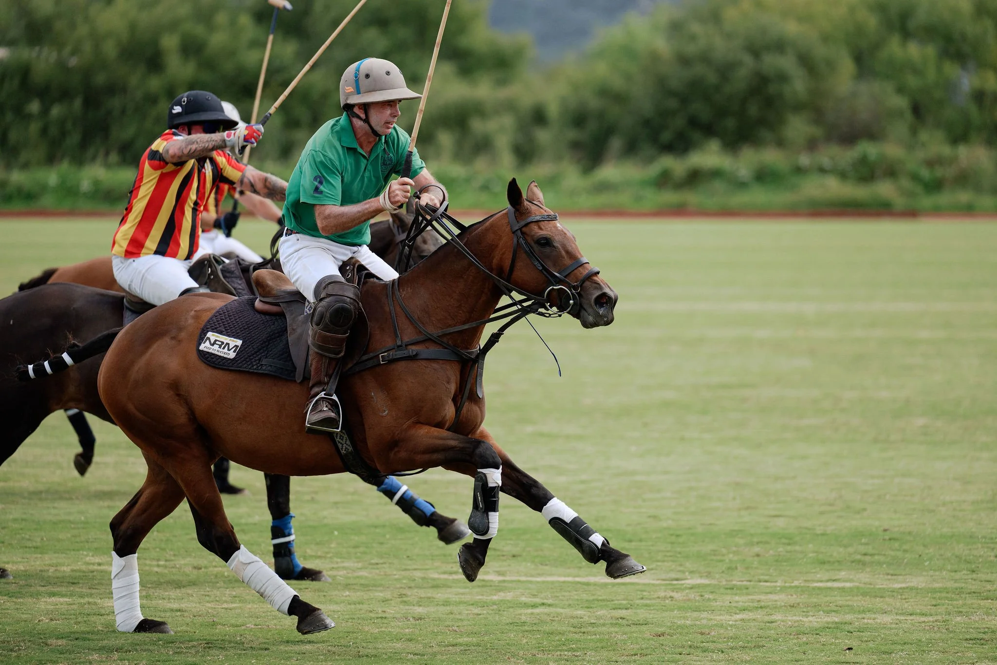 hololio-polo-172.jpg