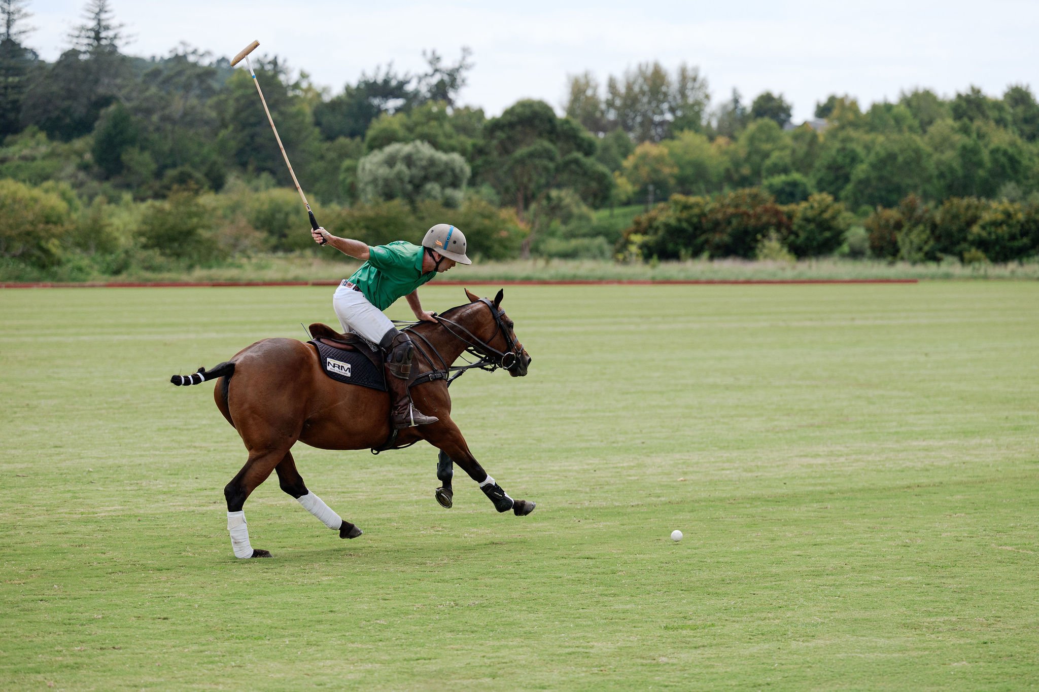 hololio-polo-173.jpg