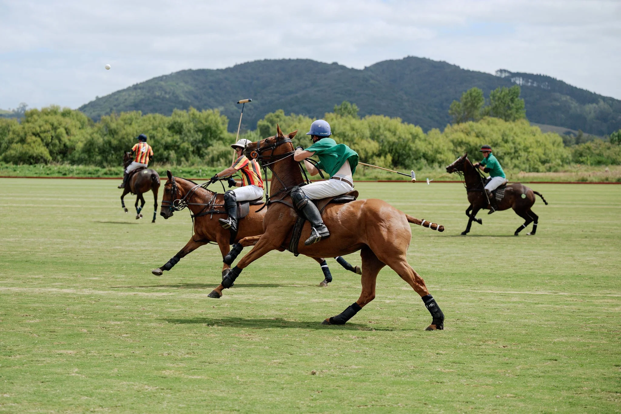 hololio-polo-177.jpg