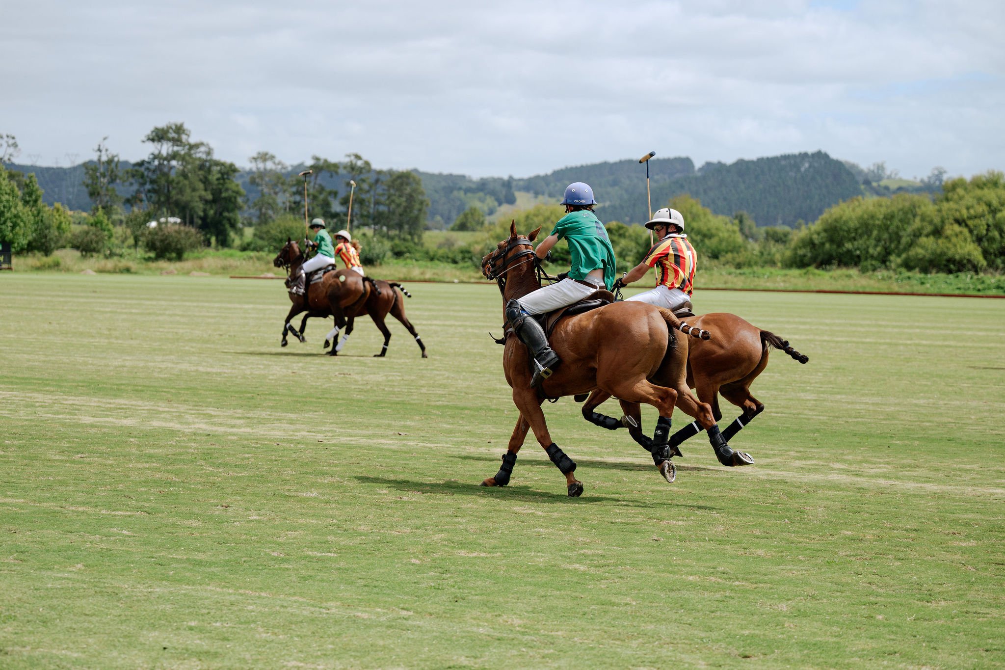 hololio-polo-178.jpg