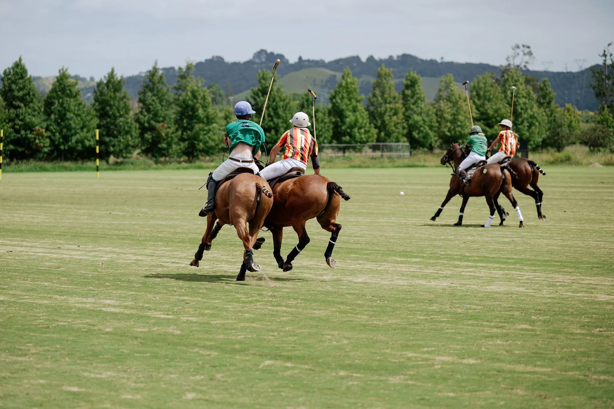 hololio-polo-180.jpg