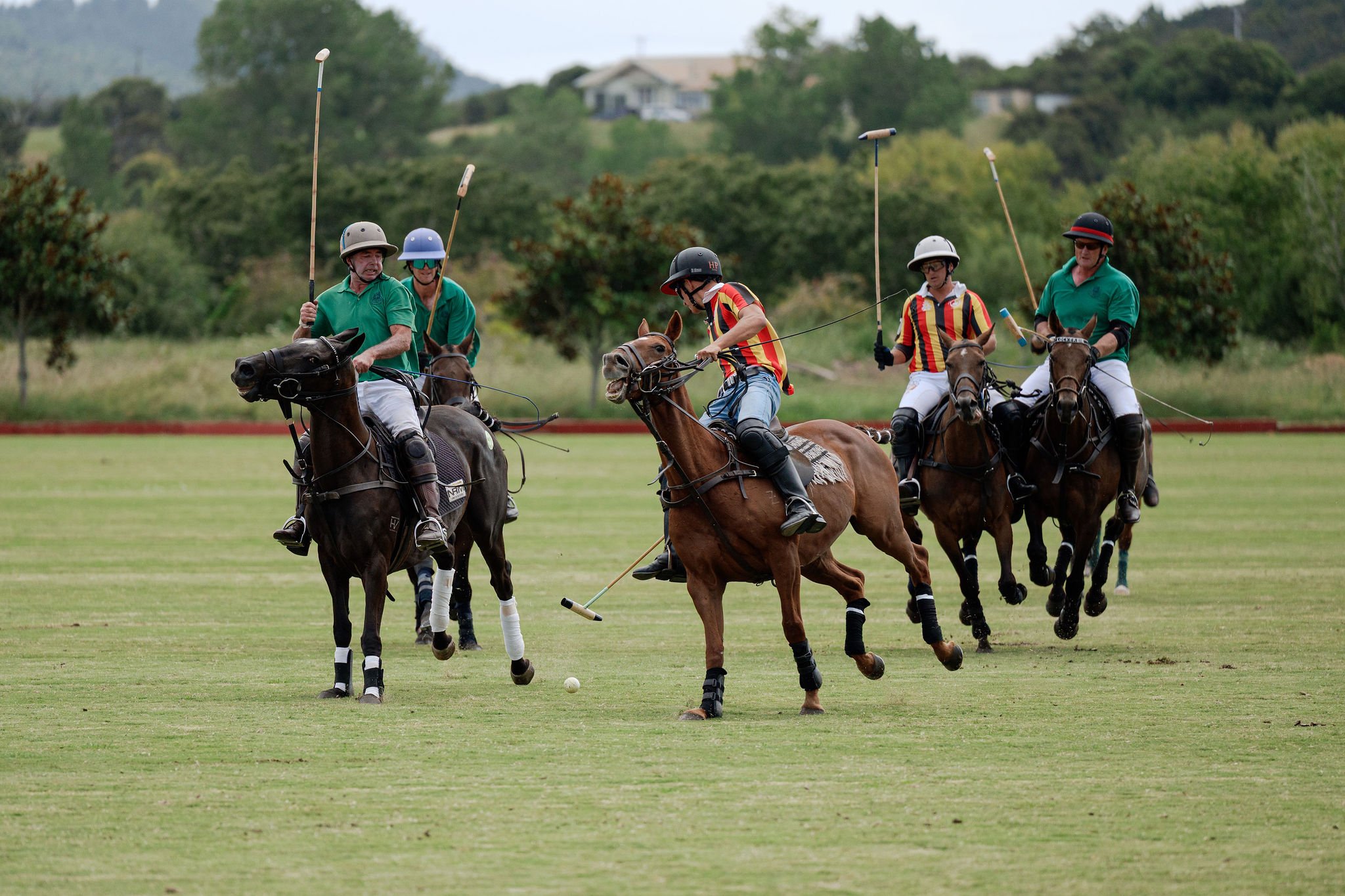 hololio-polo-182.jpg
