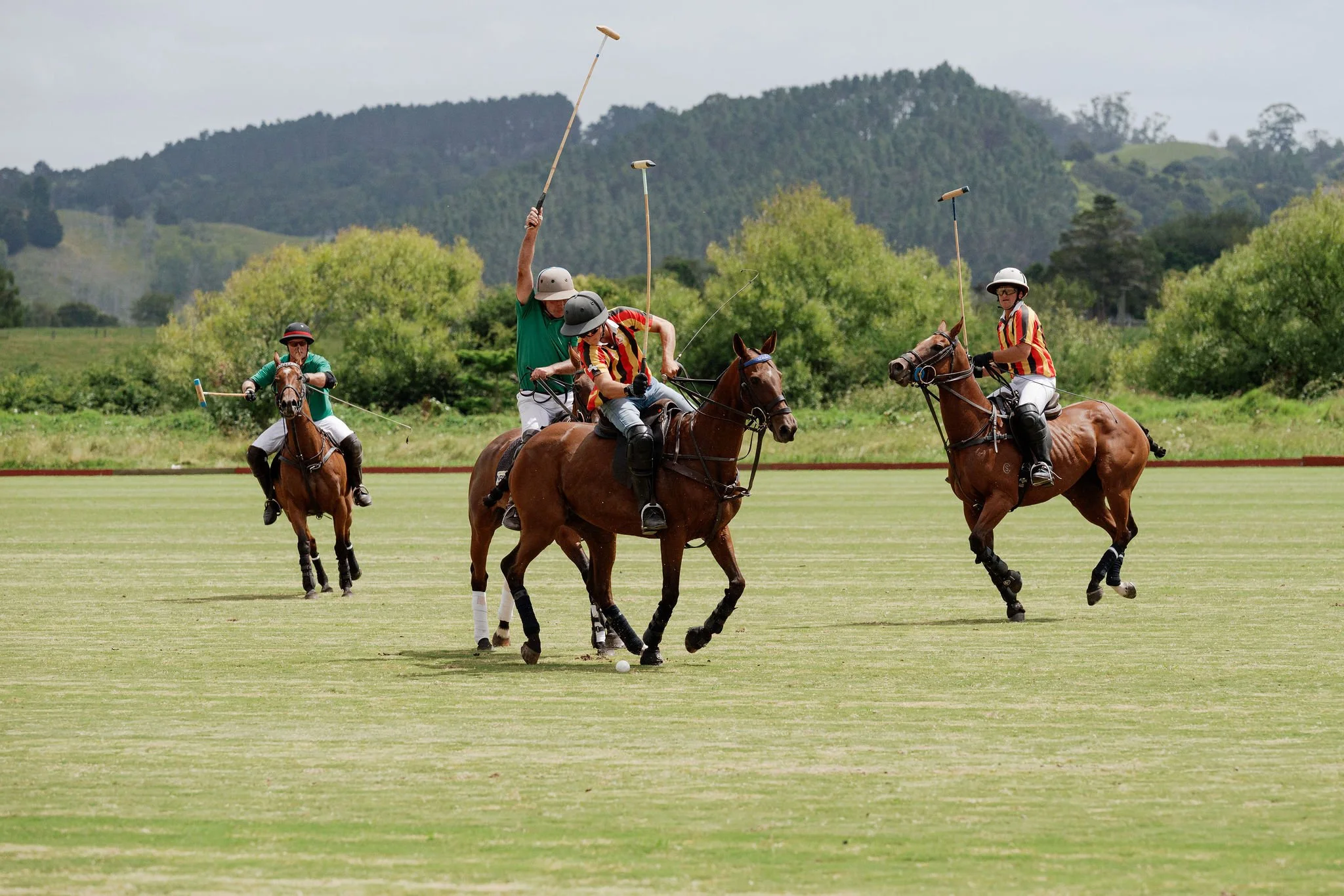 hololio-polo-188.jpg
