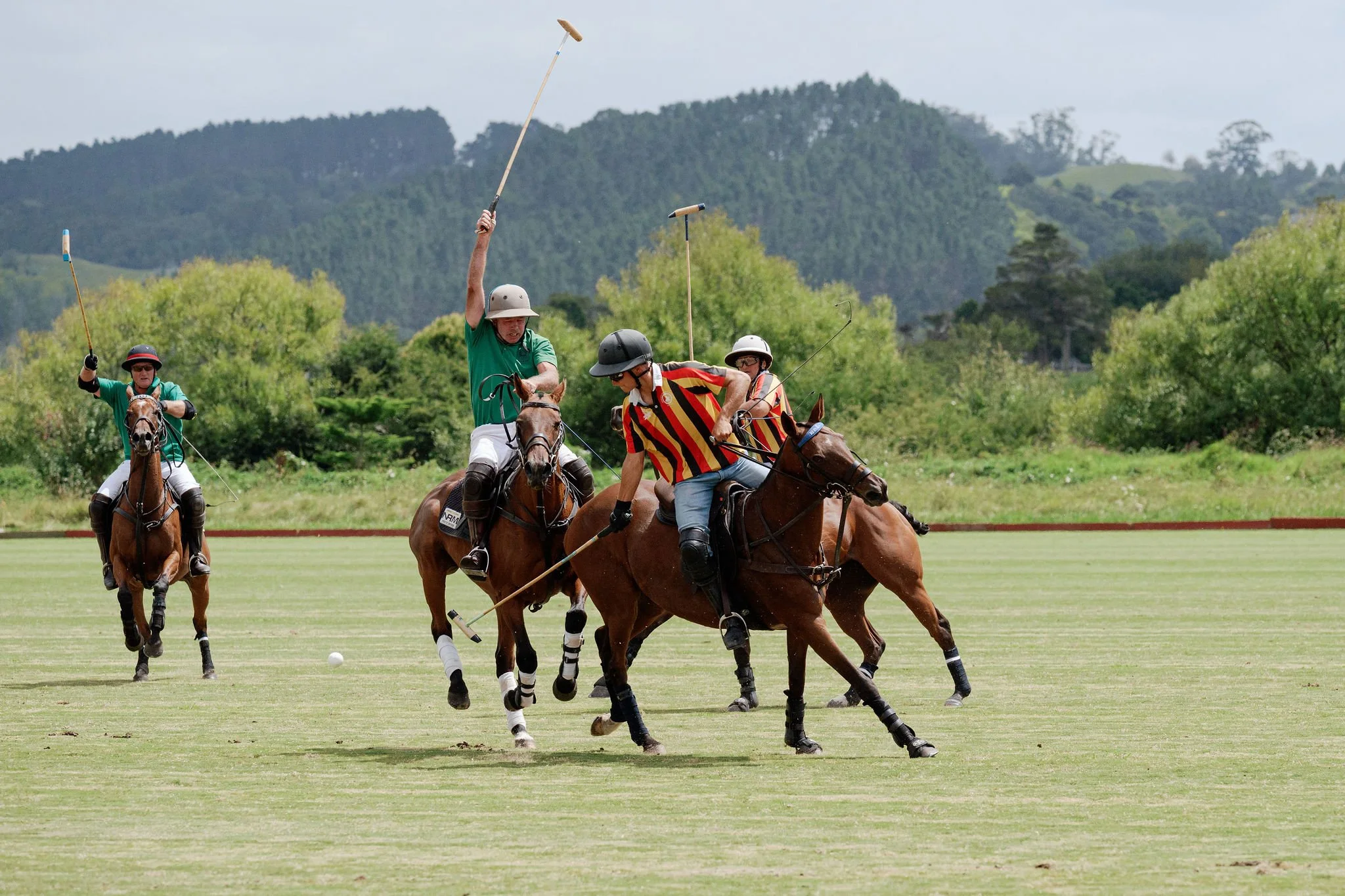 hololio-polo-189.jpg