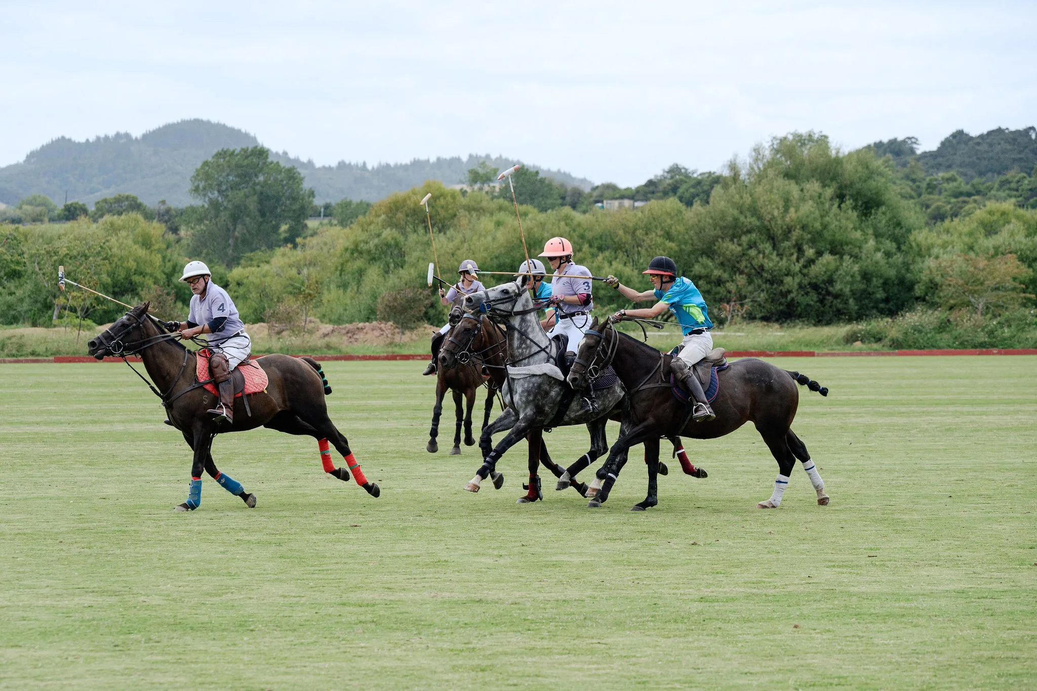 hololio-polo-208.jpg