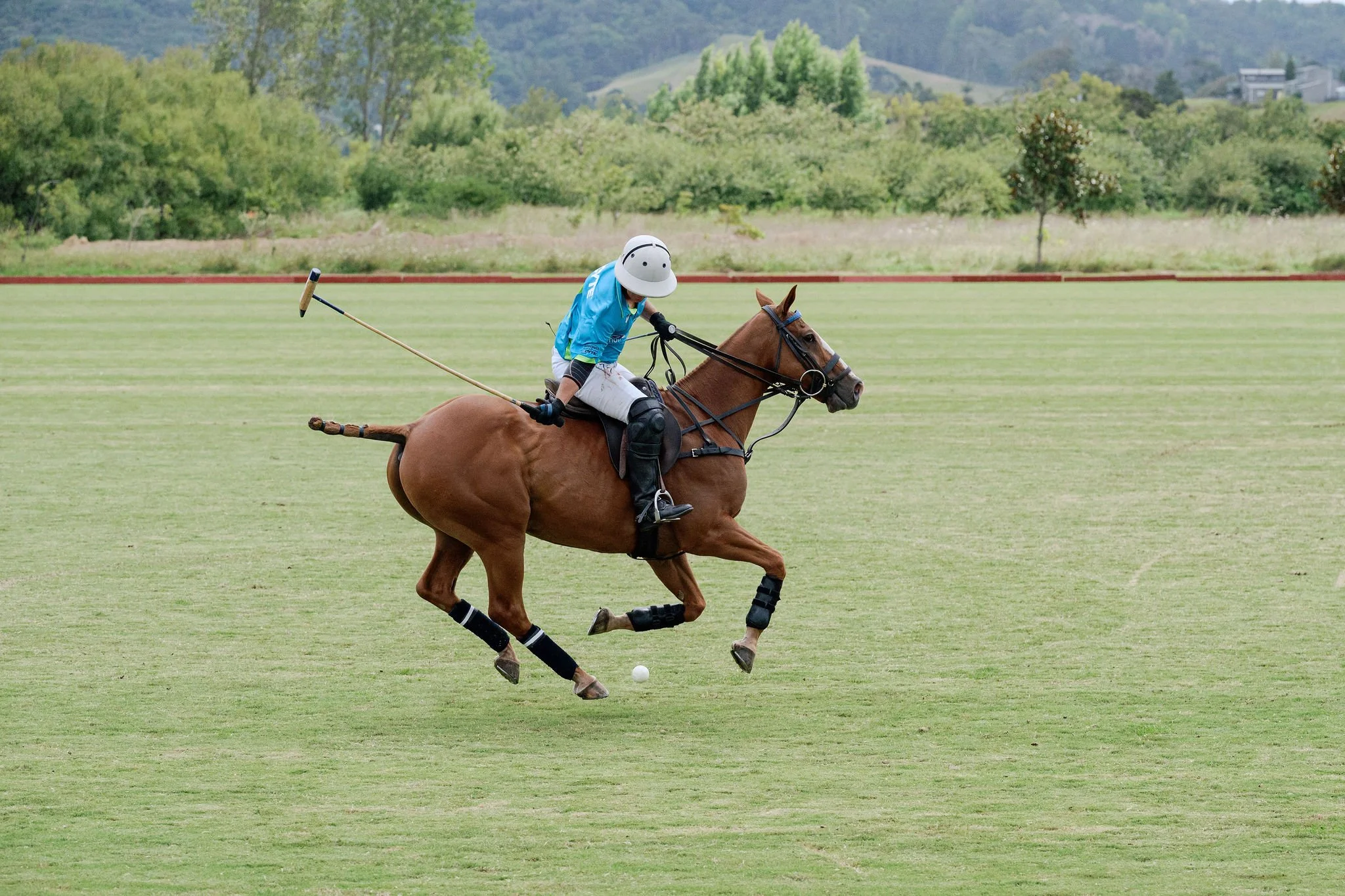 hololio-polo-210.jpg