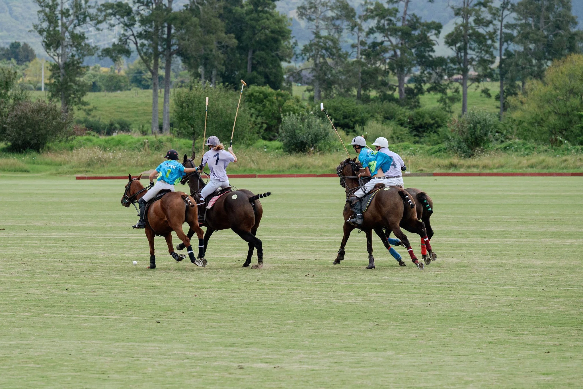 hololio-polo-211.jpg