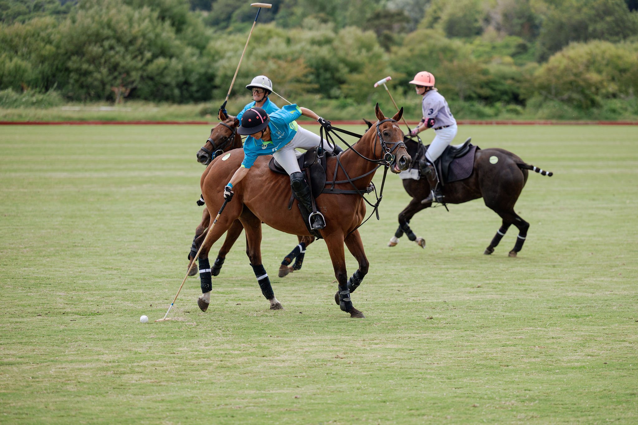 hololio-polo-226.jpg