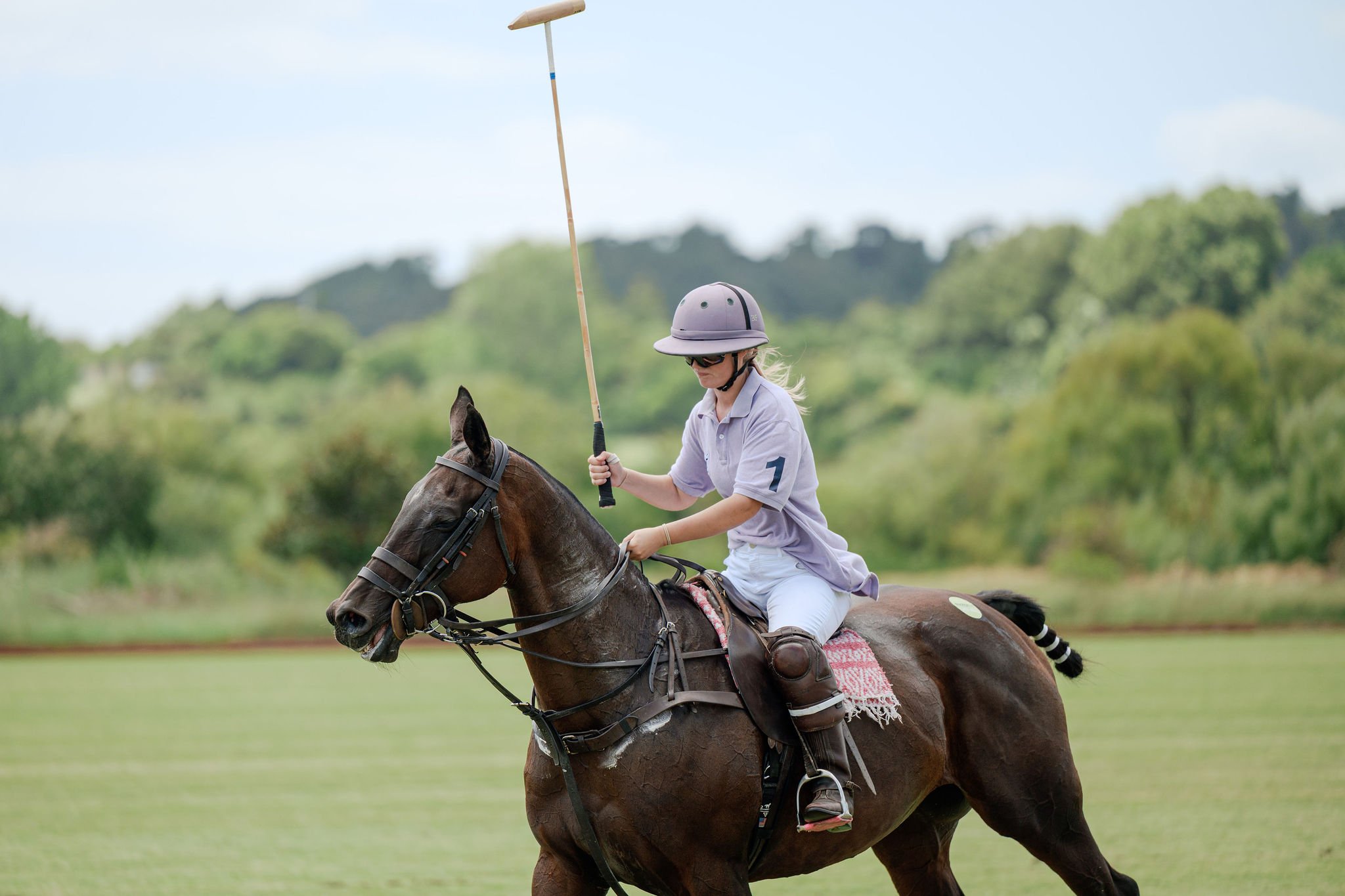 hololio-polo-234.jpg