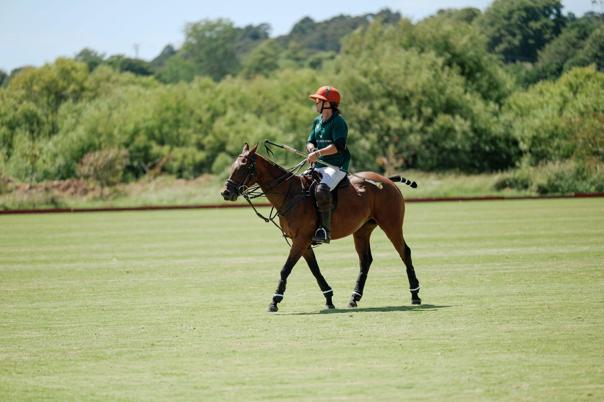 hololio-polo-254.jpg