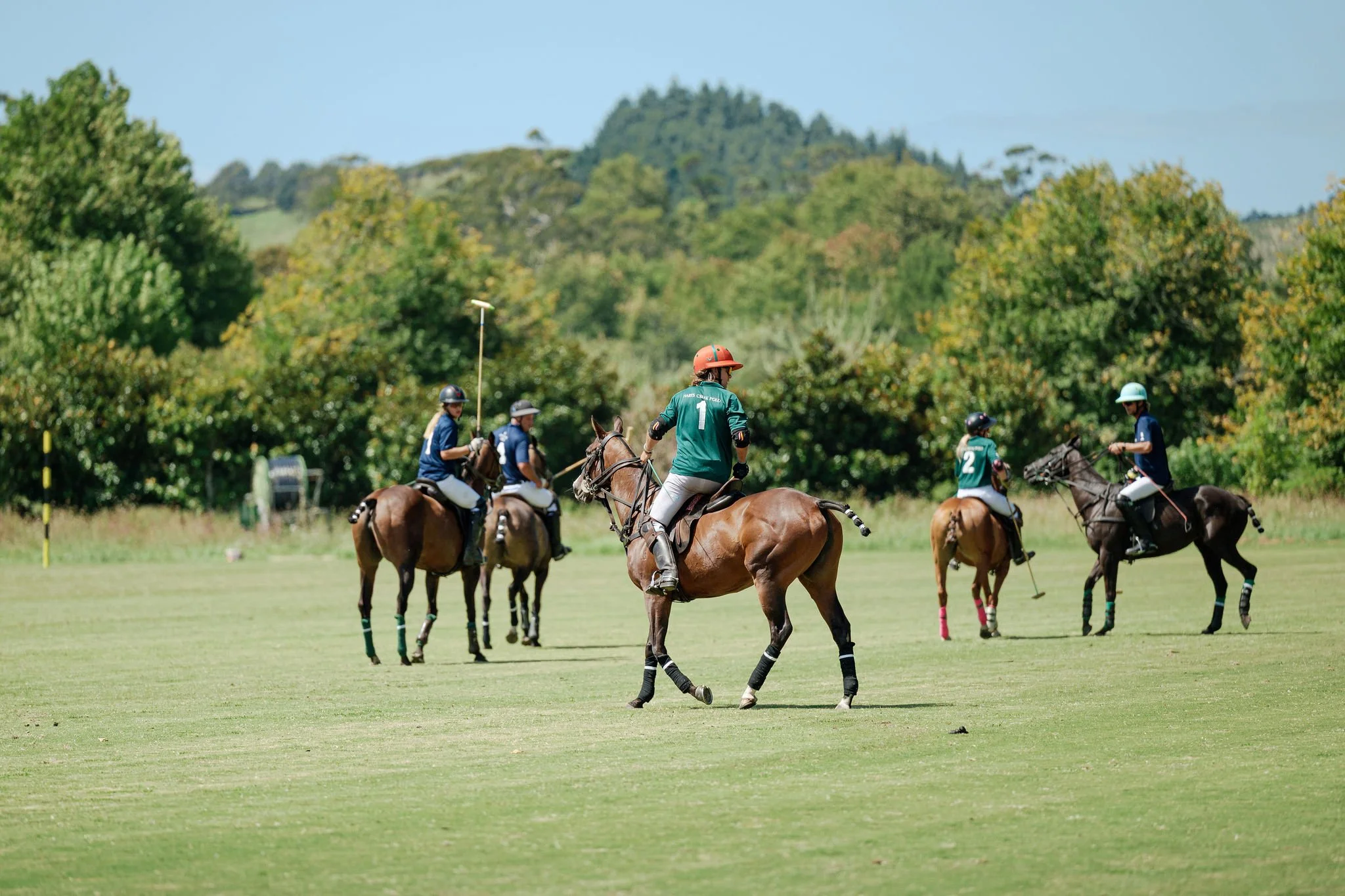 hololio-polo-262.jpg