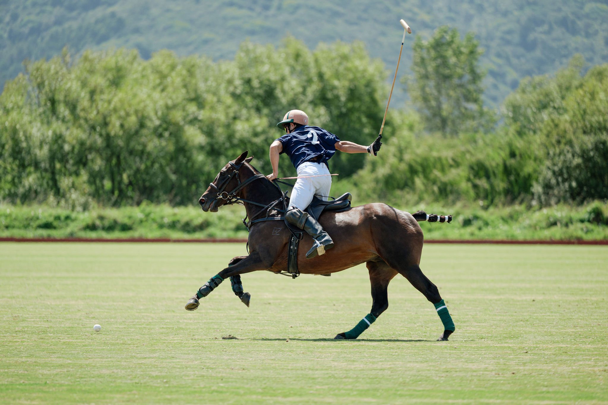 hololio-polo-267.jpg