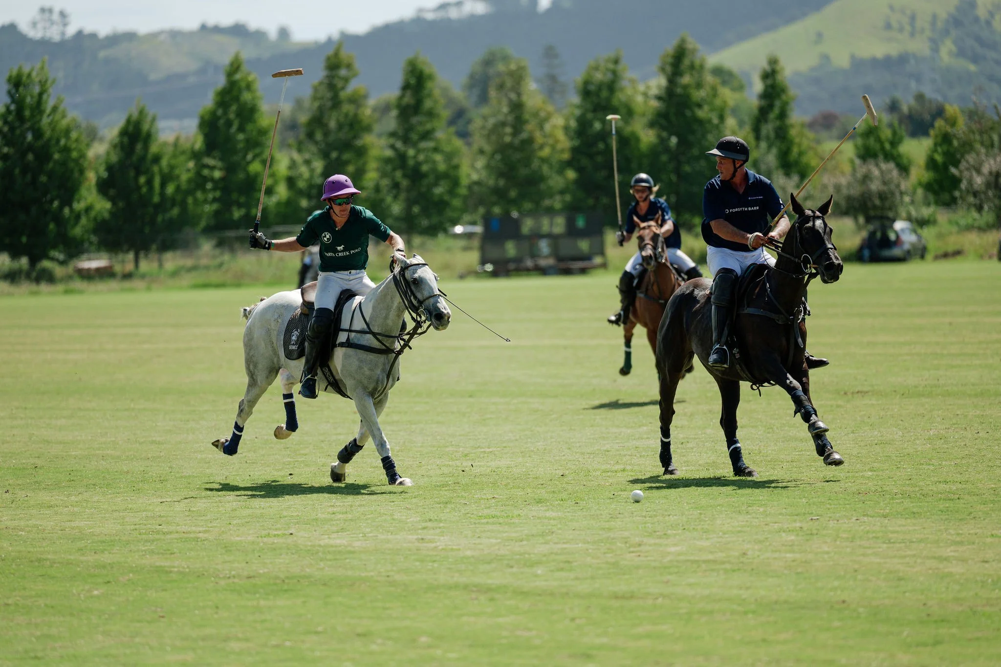 hololio-polo-284.jpg
