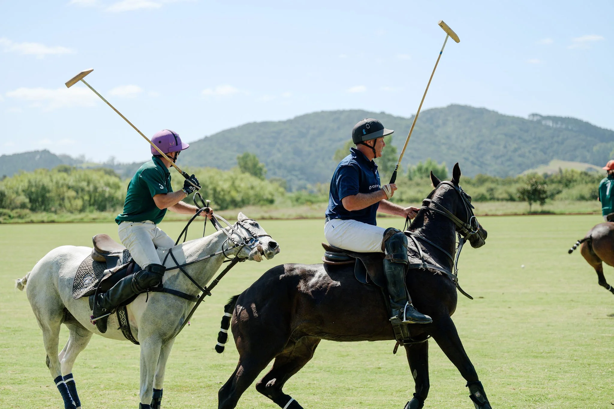 hololio-polo-285.jpg