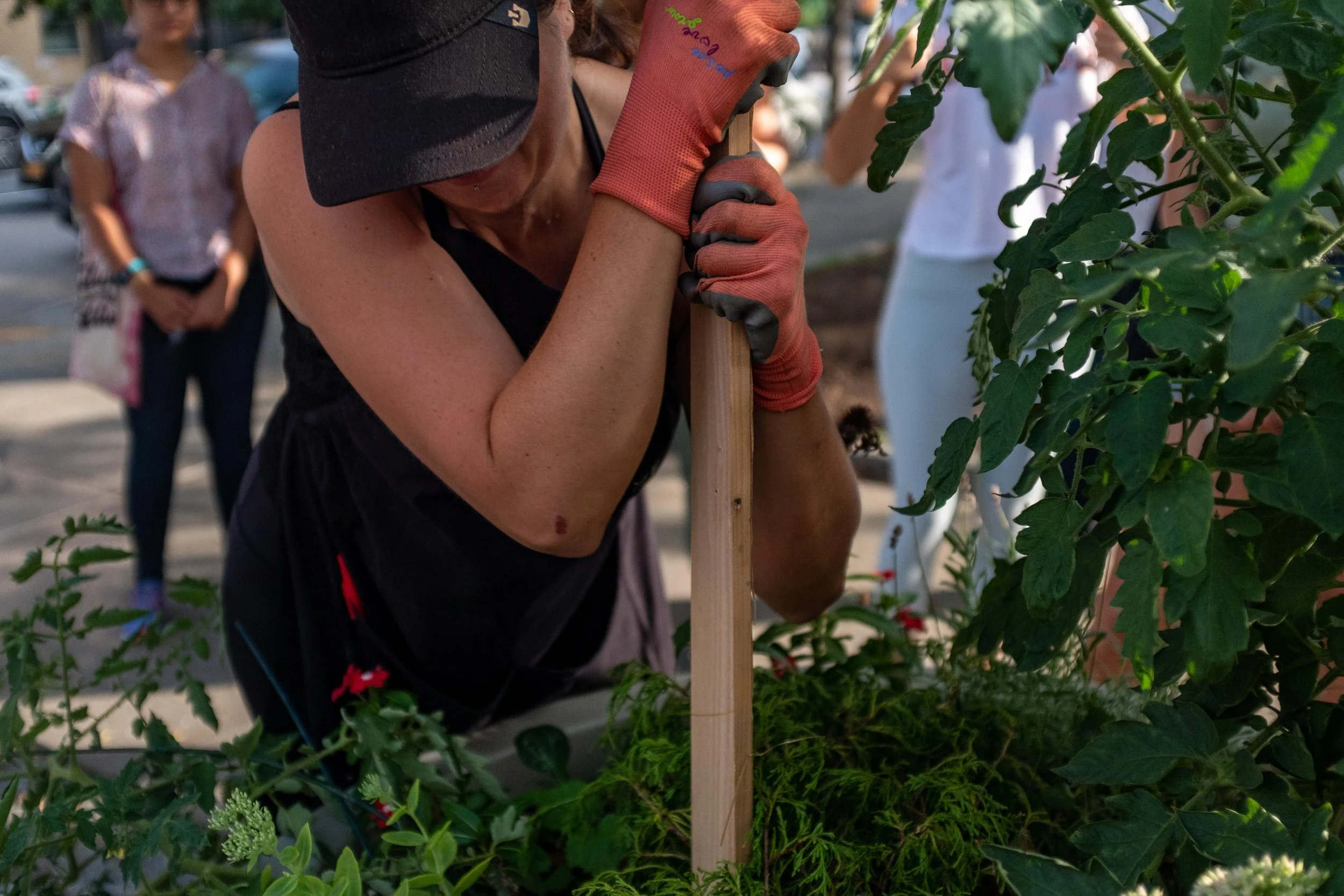 A woman planting a tree, wearing gloves and a black hat, with people observing in the background.