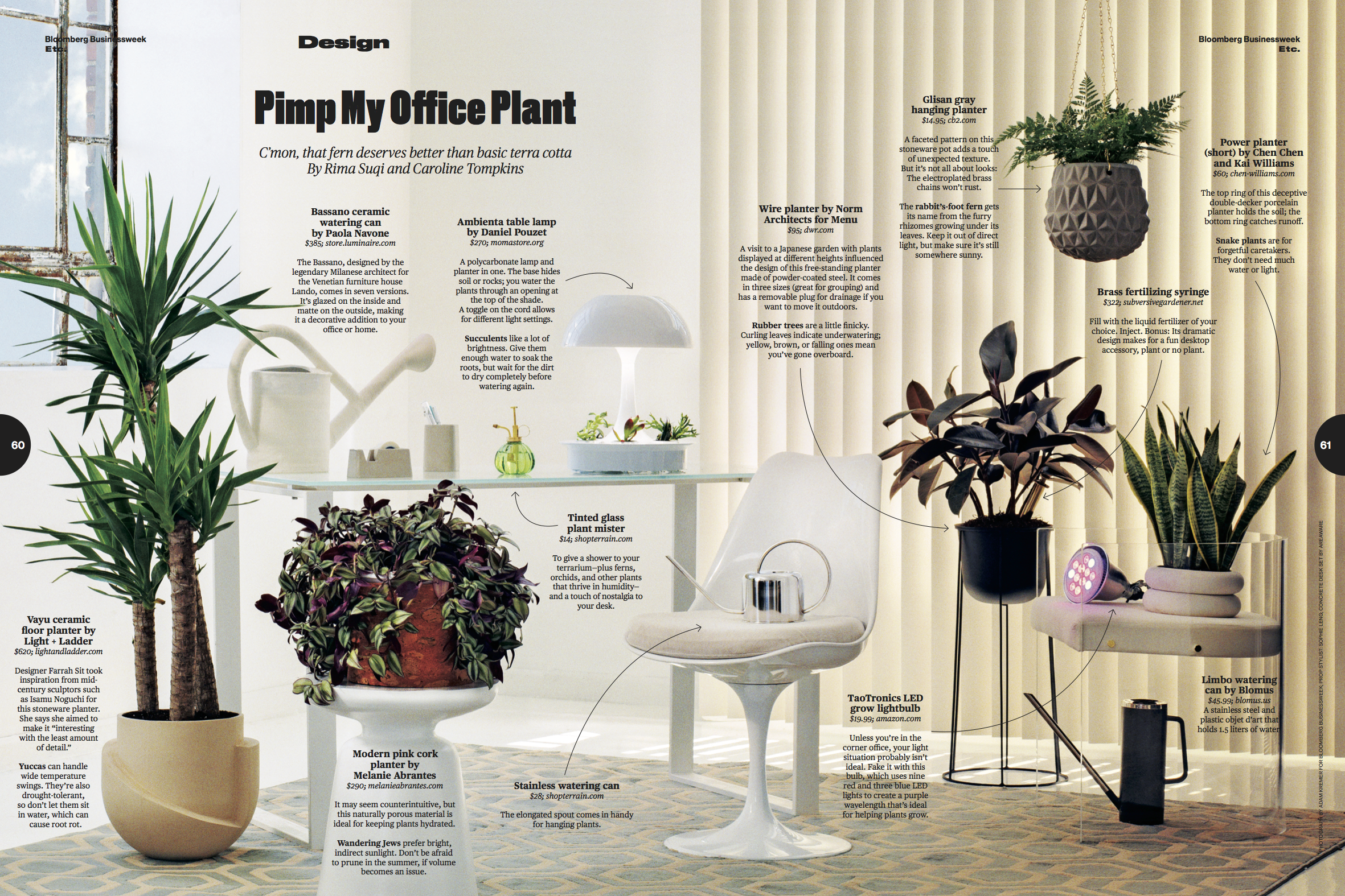 Interior of a modern office space decorated with various plants in pots and planters, including a large potted bamboo, a flowering plant in a terracotta pot, and smaller potted plants on a white table. There are also decorative items such as a glass plant mister, a white desk chair, a small side table, a hanging planter, and a gardening spray can. The wall behind features vertical blinds and a window with some light coming through.