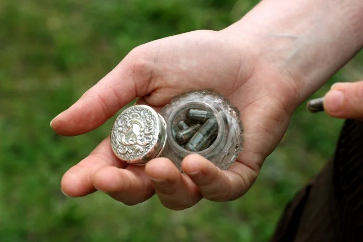 The Horticulturist seed pillbox