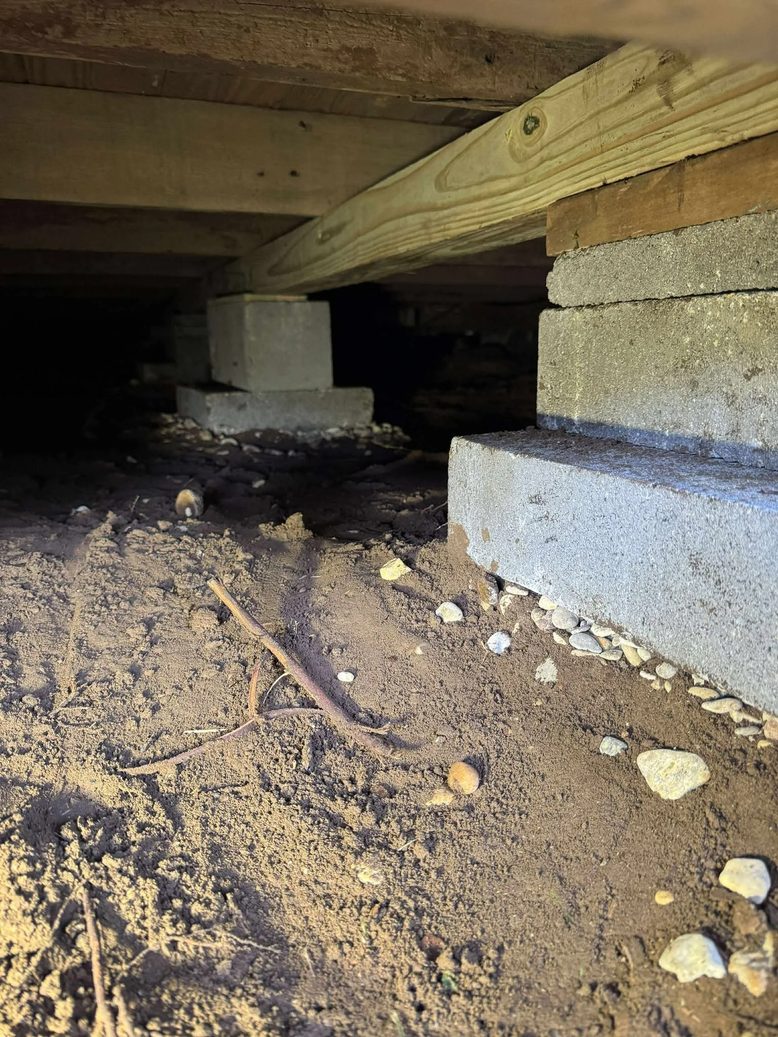 Beam Repair & Replacement Services