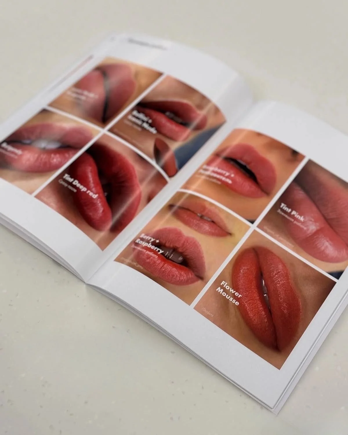 Open beauty book displaying different shades of lipstick on lips, with labels like "Tiny Deep Red", "Strawberry & Raspberry", and "Flower Mouse".